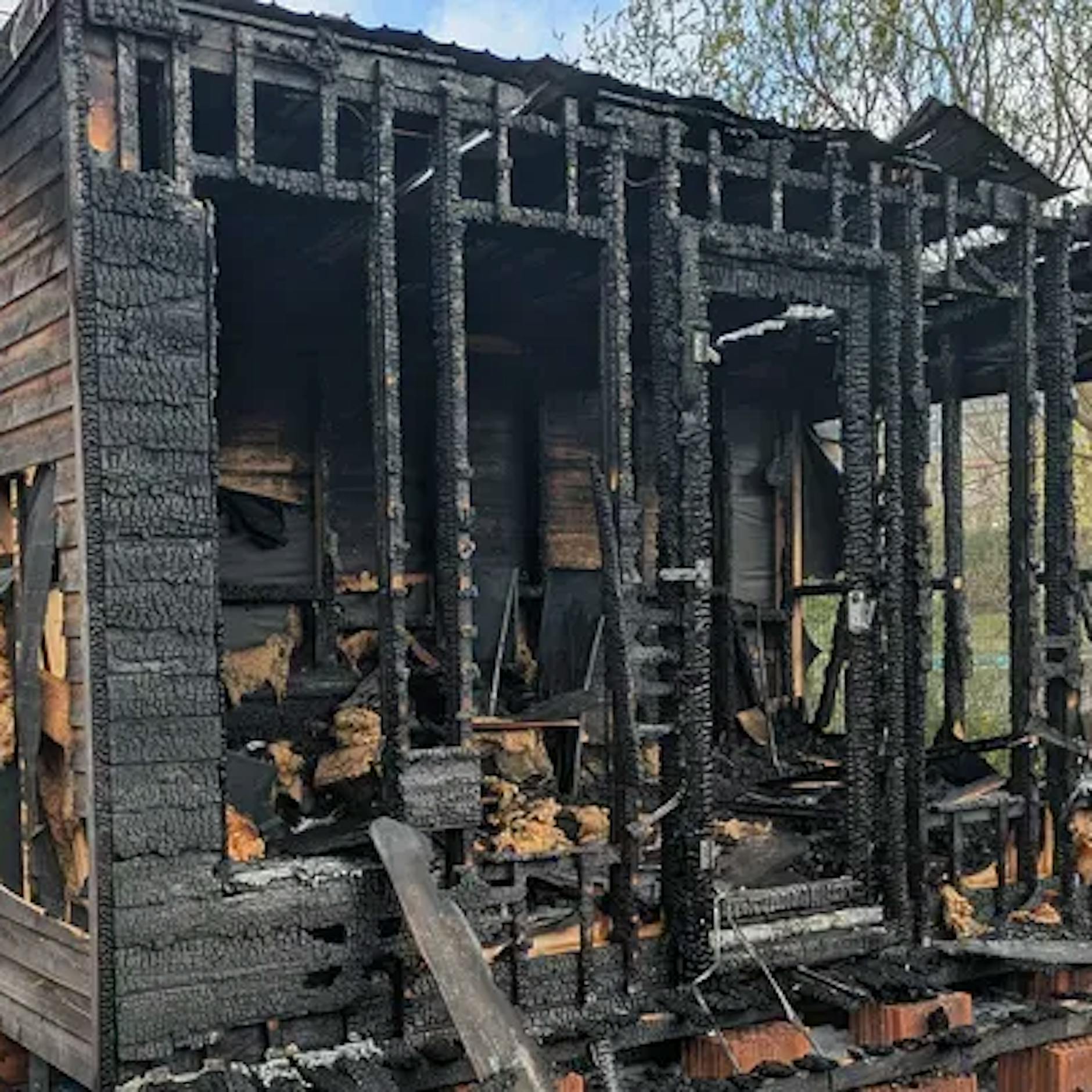 Feuer im Bürgergarten in Hellersdorf: „Zerstörung des Tiny Houses trifft hart“
