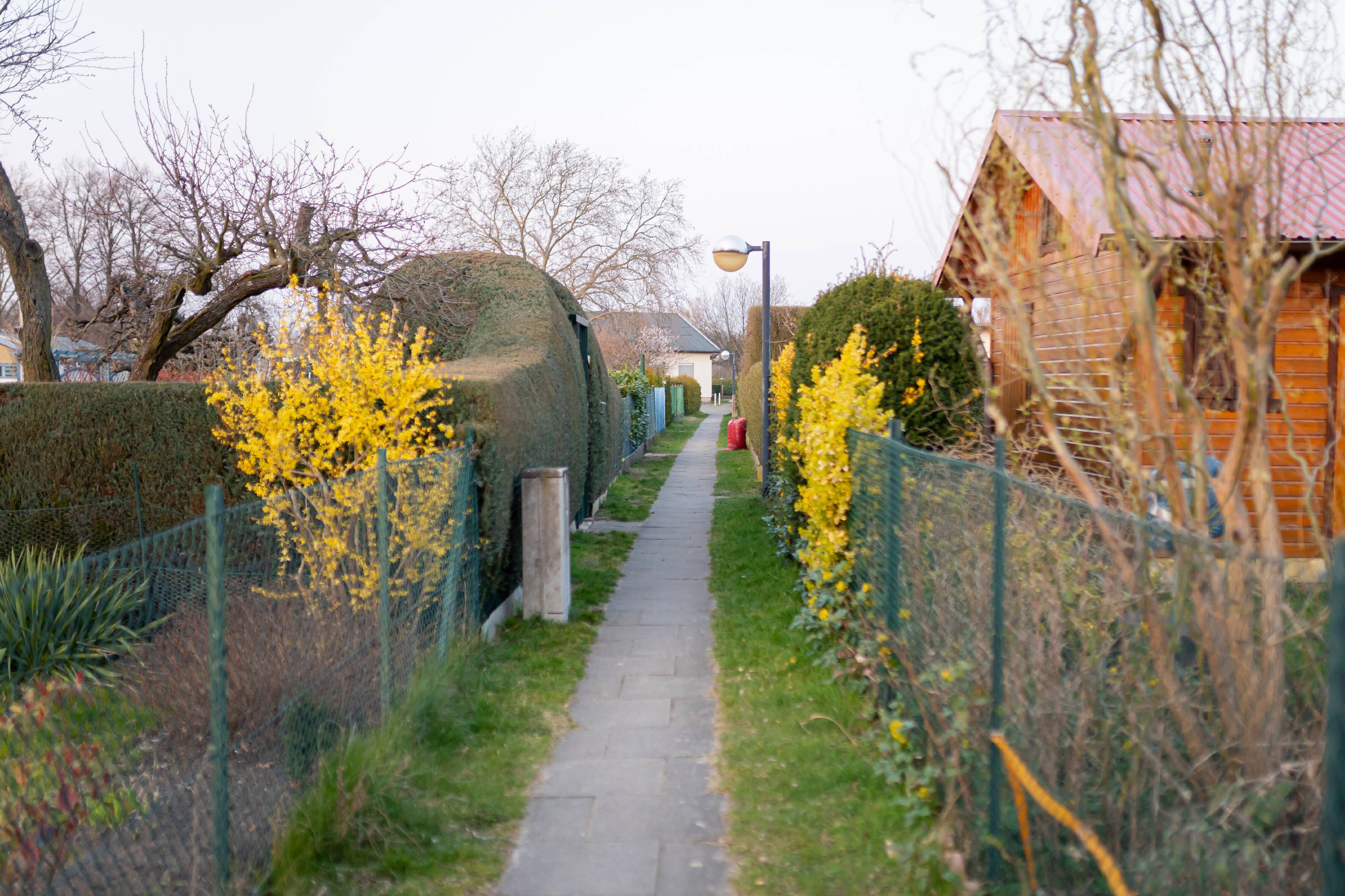 Spandau: Bezirksamt übernimmt Kleingartenanlage Heerstraße 360 mit 91 Parzellen