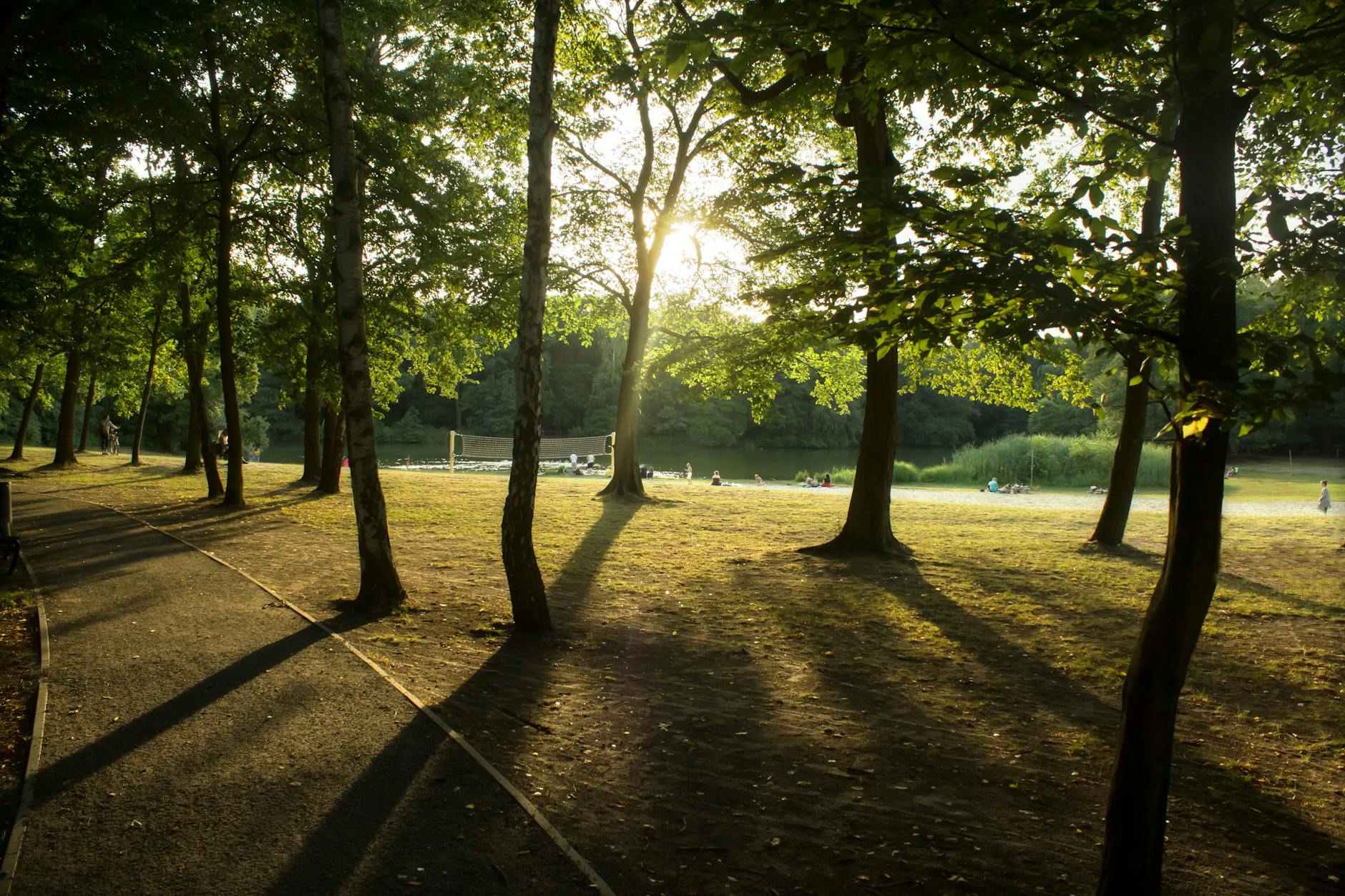 Im Volkspark Jungfernheide im Bezirk Charlottenburg-Wilmersdorf müssen zwei Bäume gefällt werden.