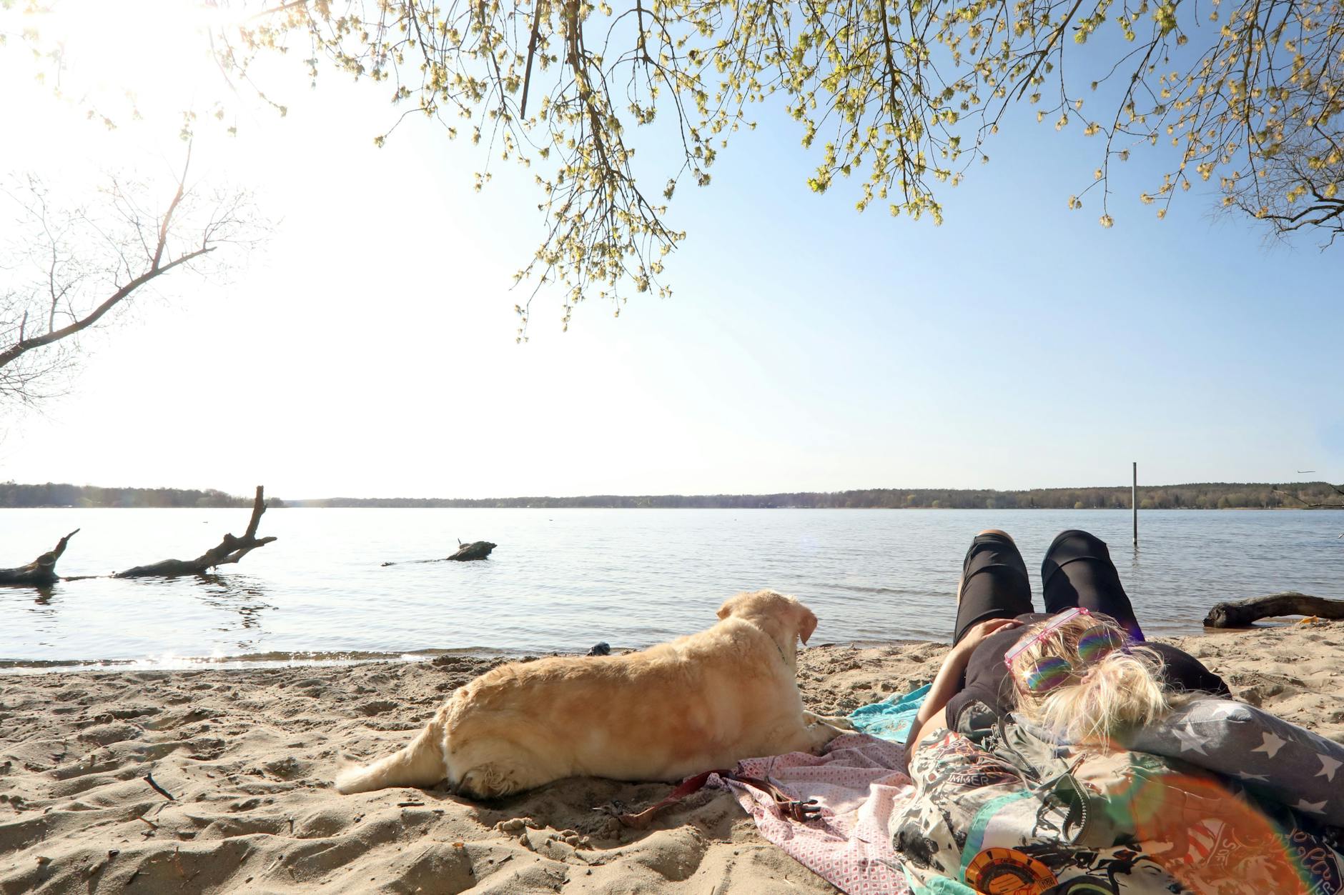An der Havel ist Entspannung angesagt, ein Hund und sein Frauchen liegen am Strand in der Sonne.