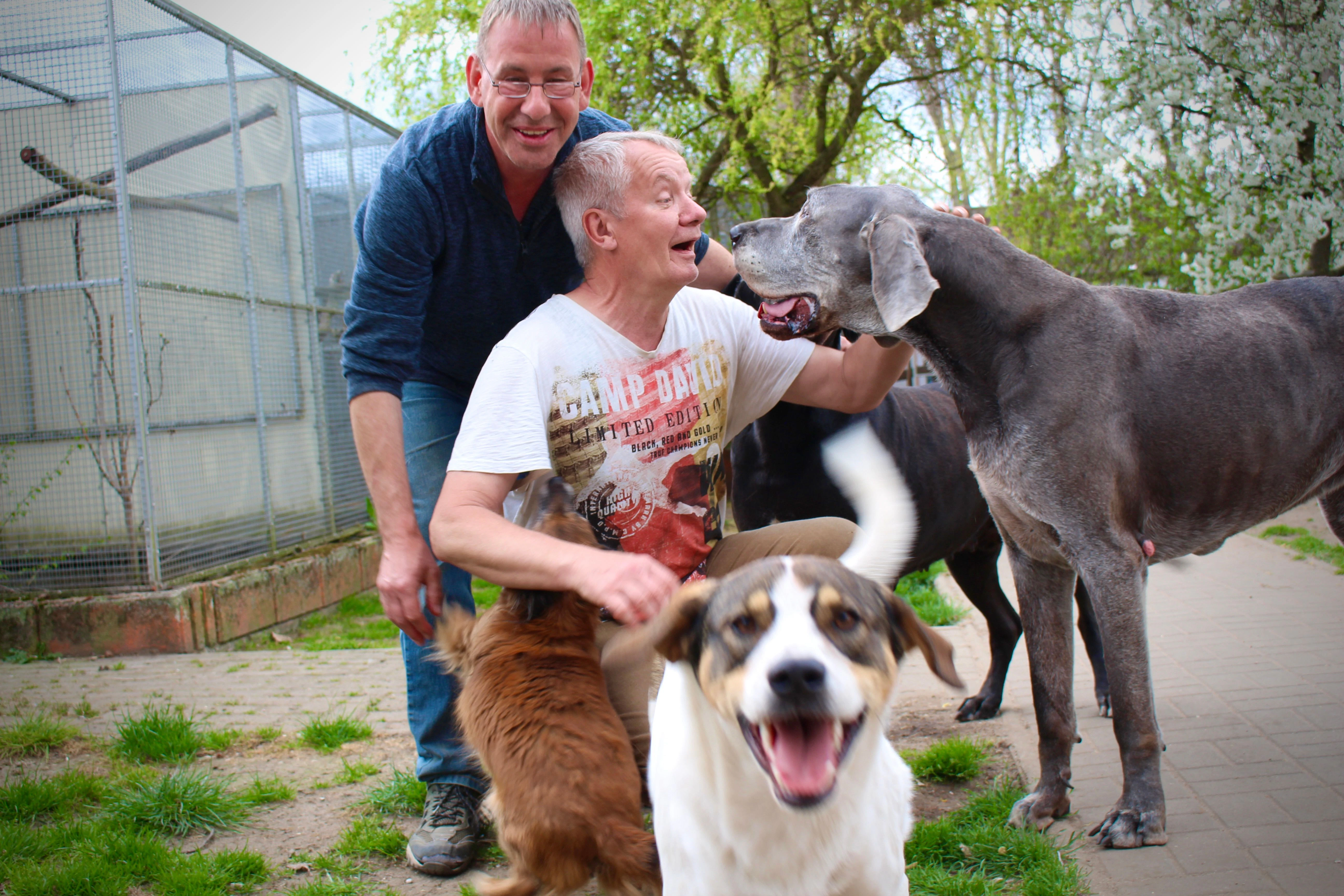 Zu Besuch beim Vogelgnadenhof und Altenheim für Tiere e.V. in der Burgwallstraße 75 in Berlin-Pankow.  Dirk und Hartmut bauen seit zwei Jahren an einem neuen Heim, um zukünftig noch mehr Tiere aufnehmen zu können. Sie brauchen dringend Verstärkung, Hilfe und Spenden.