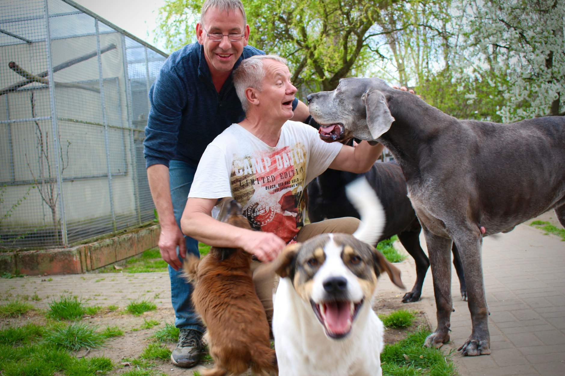 Zu Besuch beim Vogelgnadenhof und Altenheim für Tiere e.V. in der Burgwallstraße 75 in Berlin-Pankow.  Dirk und Hartmut bauen seit zwei Jahren an einem neuen Heim, um zukünftig noch mehr Tiere aufnehmen zu können. Sie brauchen dringend Verstärkung, Hilfe und Spenden.