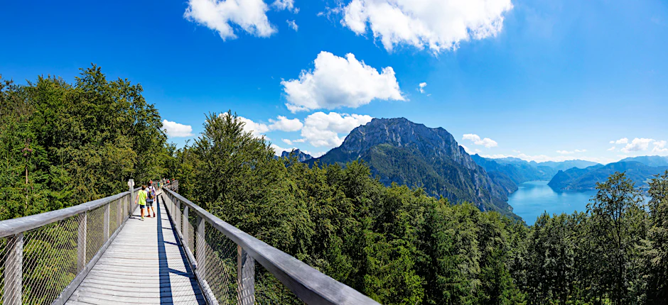 Baumwipfelpfad auf dem Grünberg in Österreich. Bei einem Ausflug auf den Berg wurde der vierjährige Junge zurückgelassen.