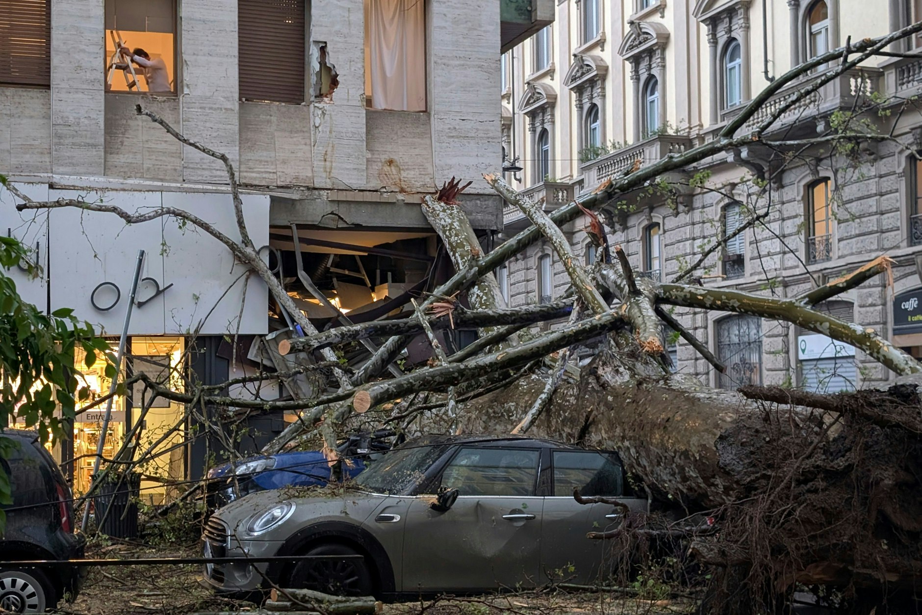 Unwetter wüteten auch in Mailand, ein umgestürzter Baum begrub Autos unter sich.