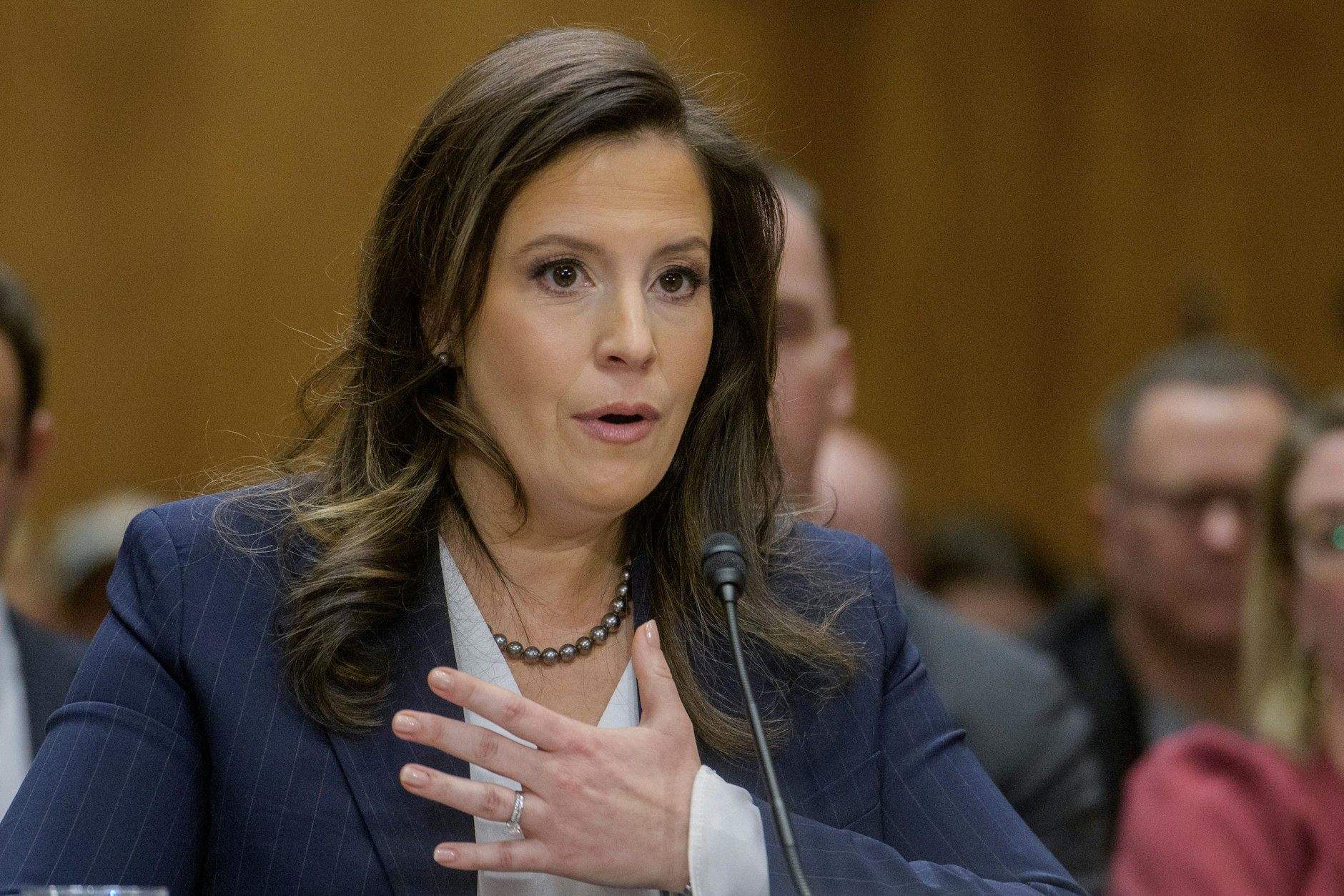 Die Verbündete Trumps, Elise Stefanik, fordert Harvard auf, Unterlagen offenzulegen.