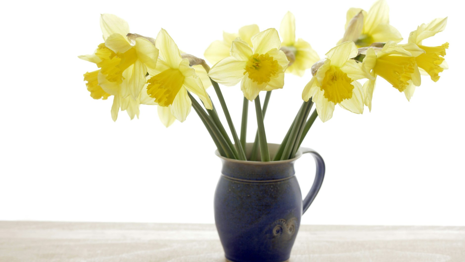 Narzissen sollten in der Vase allein stehen. Der Spülmittel-Trick hilft, dass sie länger frisch bleiben.