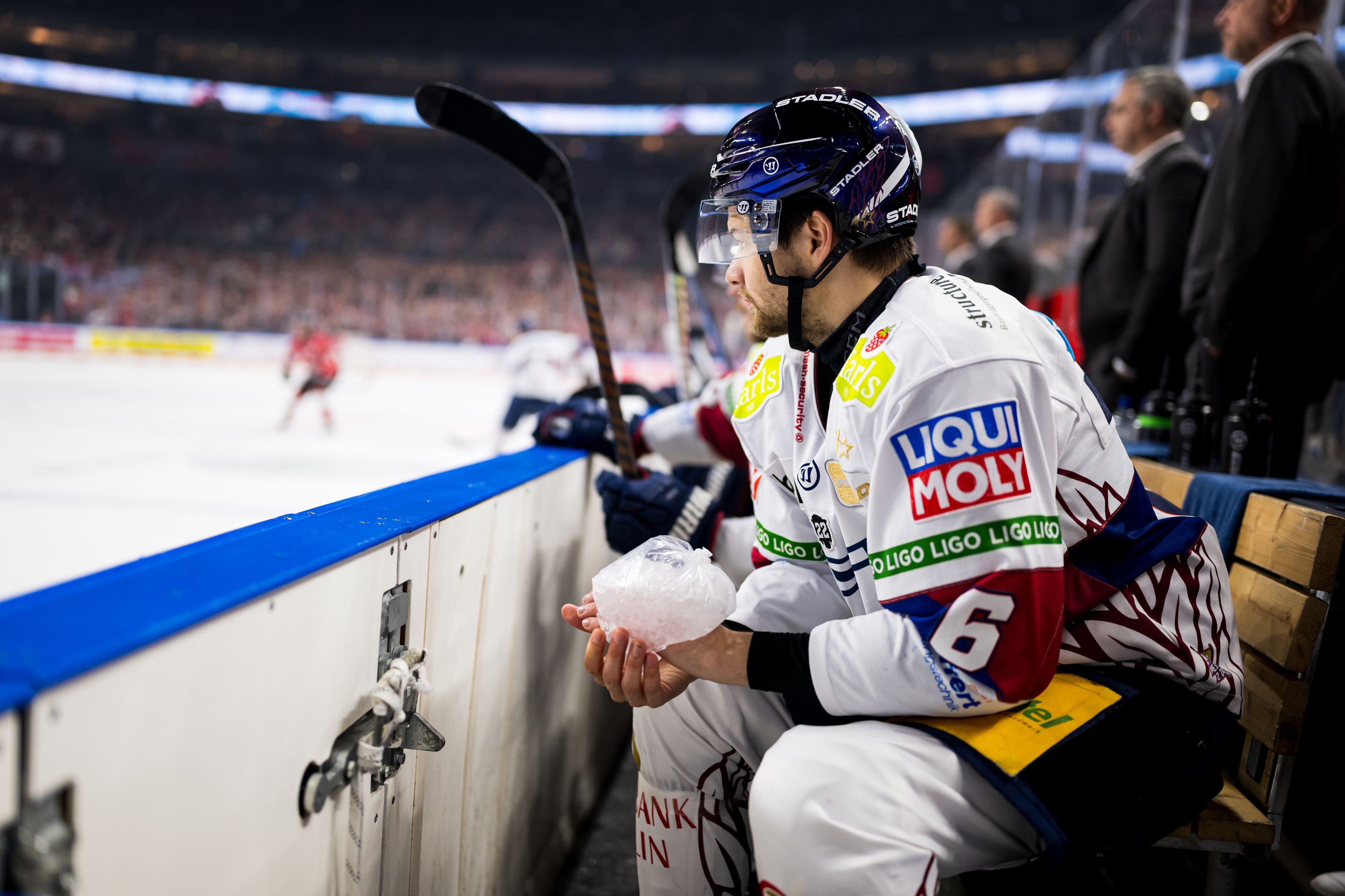 Eisbeutel auf der Hand bereitet den Eisbären reichlich Sorgen