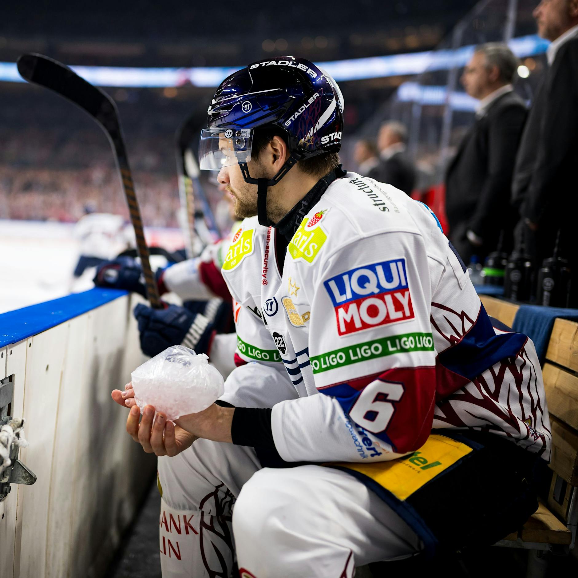 Eisbeutel auf der Hand bereitet den Eisbären reichlich Sorgen