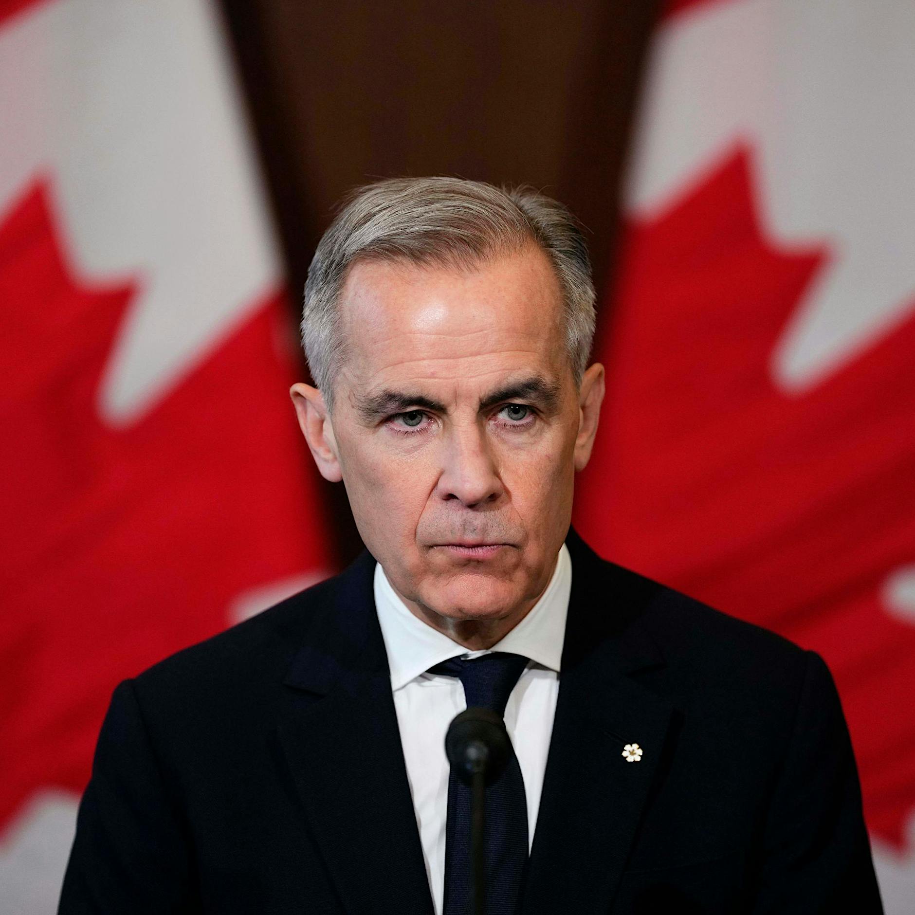 Mark Carney stellt Plan für ein Trump-sicheres Kanada vor – „Sie wollen unser Land“