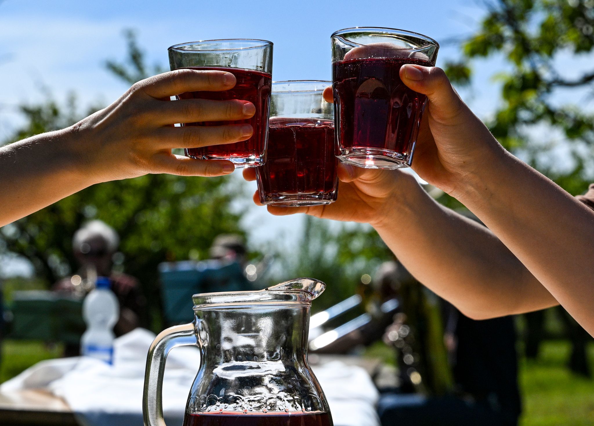 Alle Termine, alle Infos: Das Baumblütenfest in Werder dreht wieder (auf)