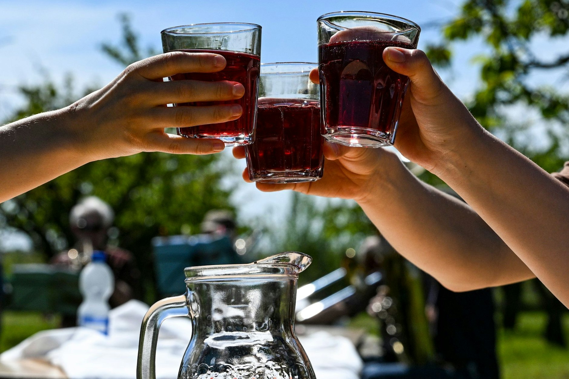 Gäste stoßen unter Obstbäumen beim Baumblütenfest mit Obstwein an. Vom 26. April bis 4. Mai öffnen die Obsthöfe und Gärten ihre Türen.