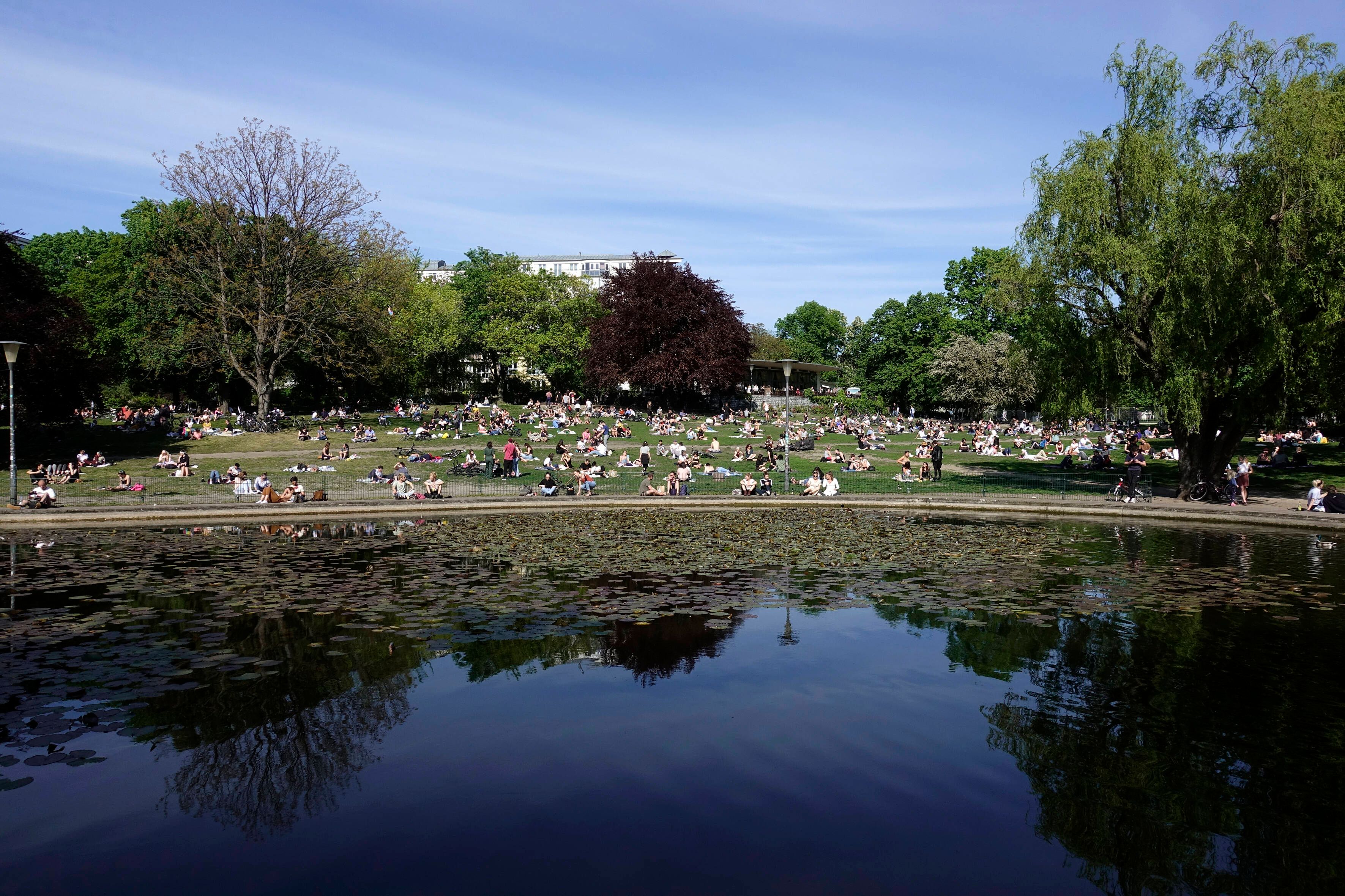 Mitte: Bezirk setzt Hechte gegen Goldfischplage im Weinbergspark ein