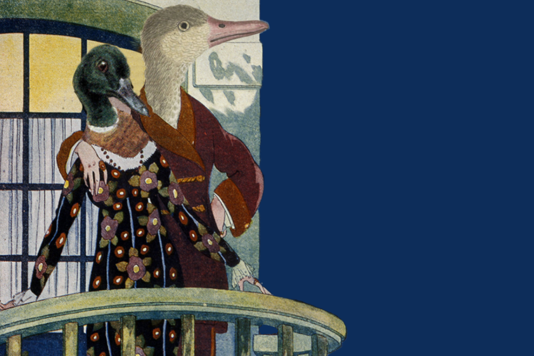 Image - Enten brüten auf dem Balkon: Was sollte man (nicht) tun?