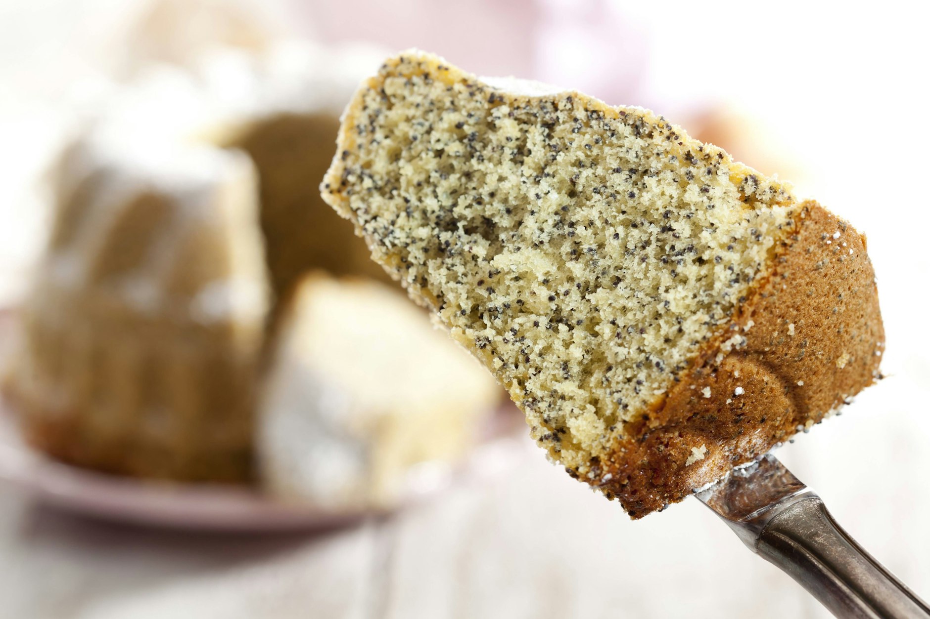 Omas leckerer Aschkuchen mit Mohn ist schnell gemacht, herrlich saftig und setzt auf einfache Zutaten. Das Rezept wurde so schon in der DDR gebacken.