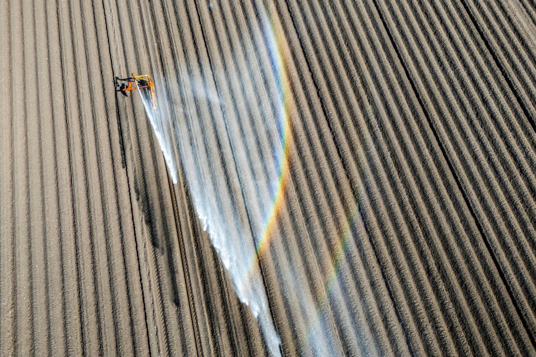Mehrere Mittel dürfen durch eine Notfallzulassung zur Insektenbekämpfung eingesetzt werden.