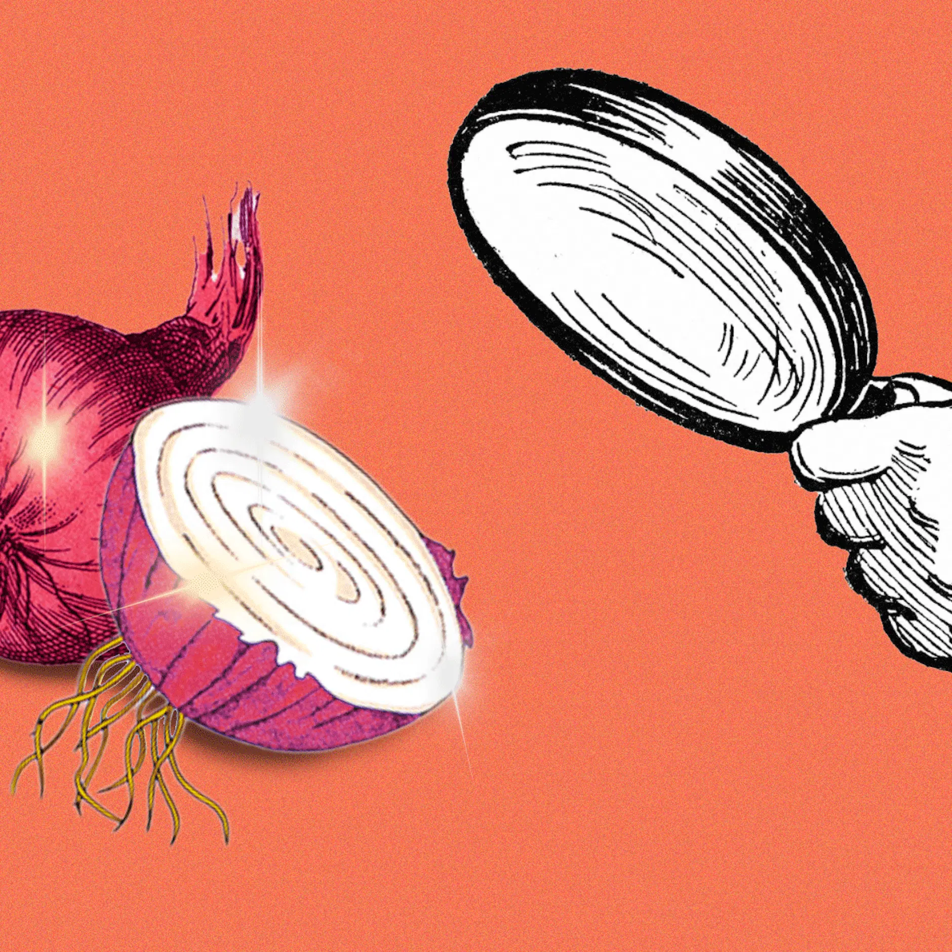 Image - Warum sind rote Zwiebeln teurer als alle anderen? Sind sie wirklich gesünder?