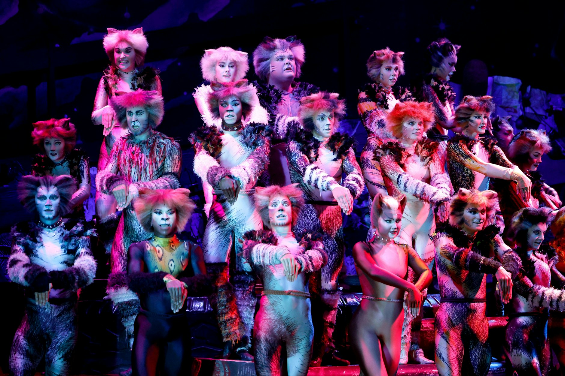 „Cats“, hier einer Aufführung in Düsseldorf, könnte auch bald in Ihrer Nähe sein.