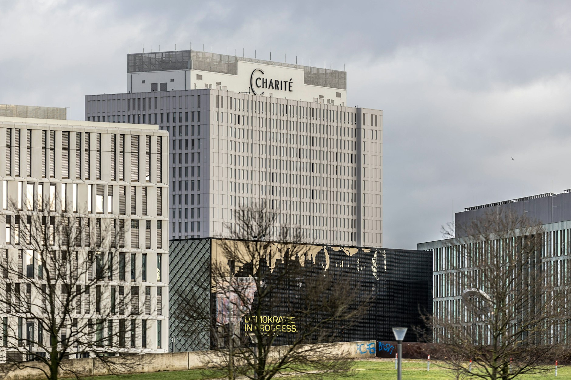 Die Zahl der Tiere, die an der Charité für Versuche eingesetzt werden, ist zurückgegangen.