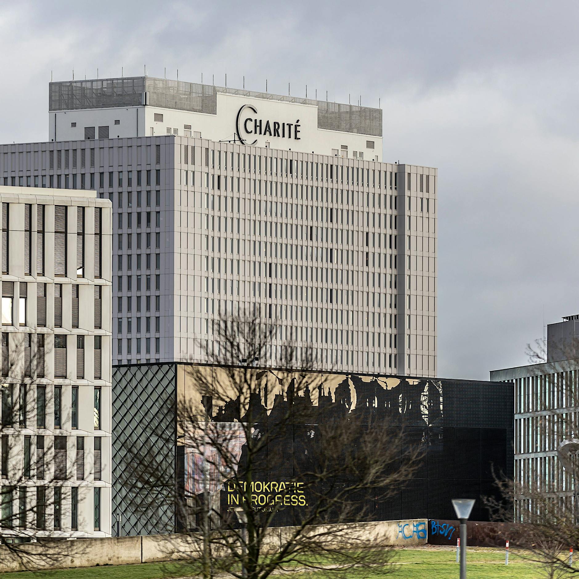 Mitte: Weniger Tierversuche an der Charité: Das ist der Grund