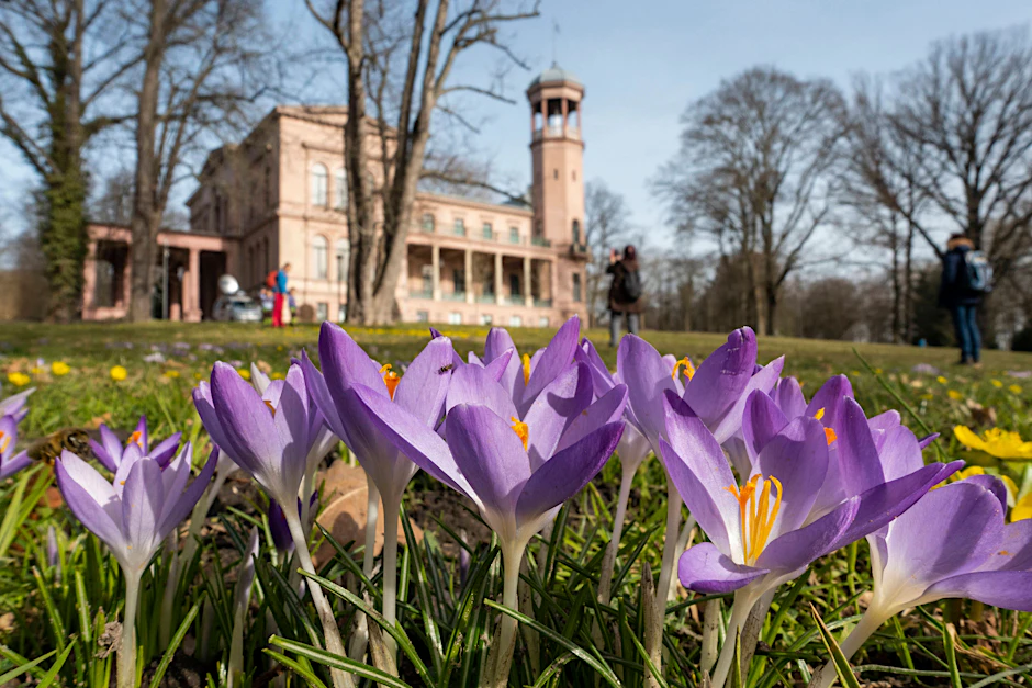Marzahn-Hellersdorf: Der Schlosspark Biesdorf wird im Mai zur Kulisse des Biesdorfer Blütenfestes.
