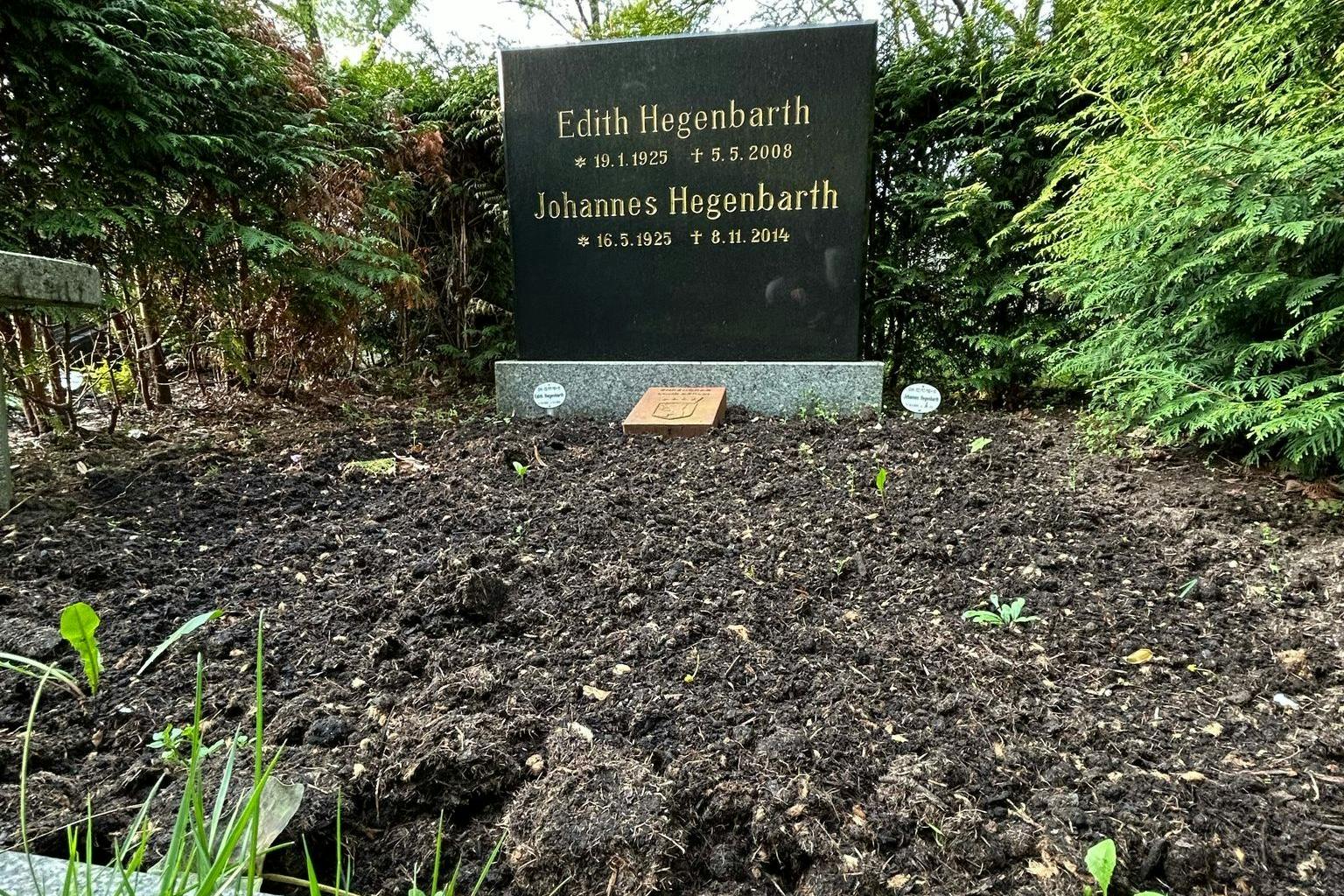 Keine Blume, kein Pflänzchen, dafür kommt an paar Stellen etwas Unkraut: So sieht das Ehrengrab des Mosaik-Erfinders Johannes Hegenbarth (Künstlername Hannes Hegen) aus. 2014 wurde er hier auf dem Karlshorster Friedhof auf der Grabstelle seiner Frau Edith beigesetzt.