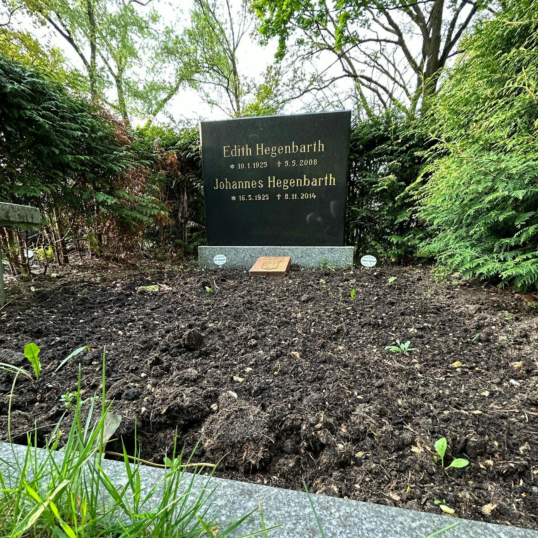 „Mosaik“-Erfinder Hannes Hegen: Lässt Berlin das Ehrengrab verwahrlosen?