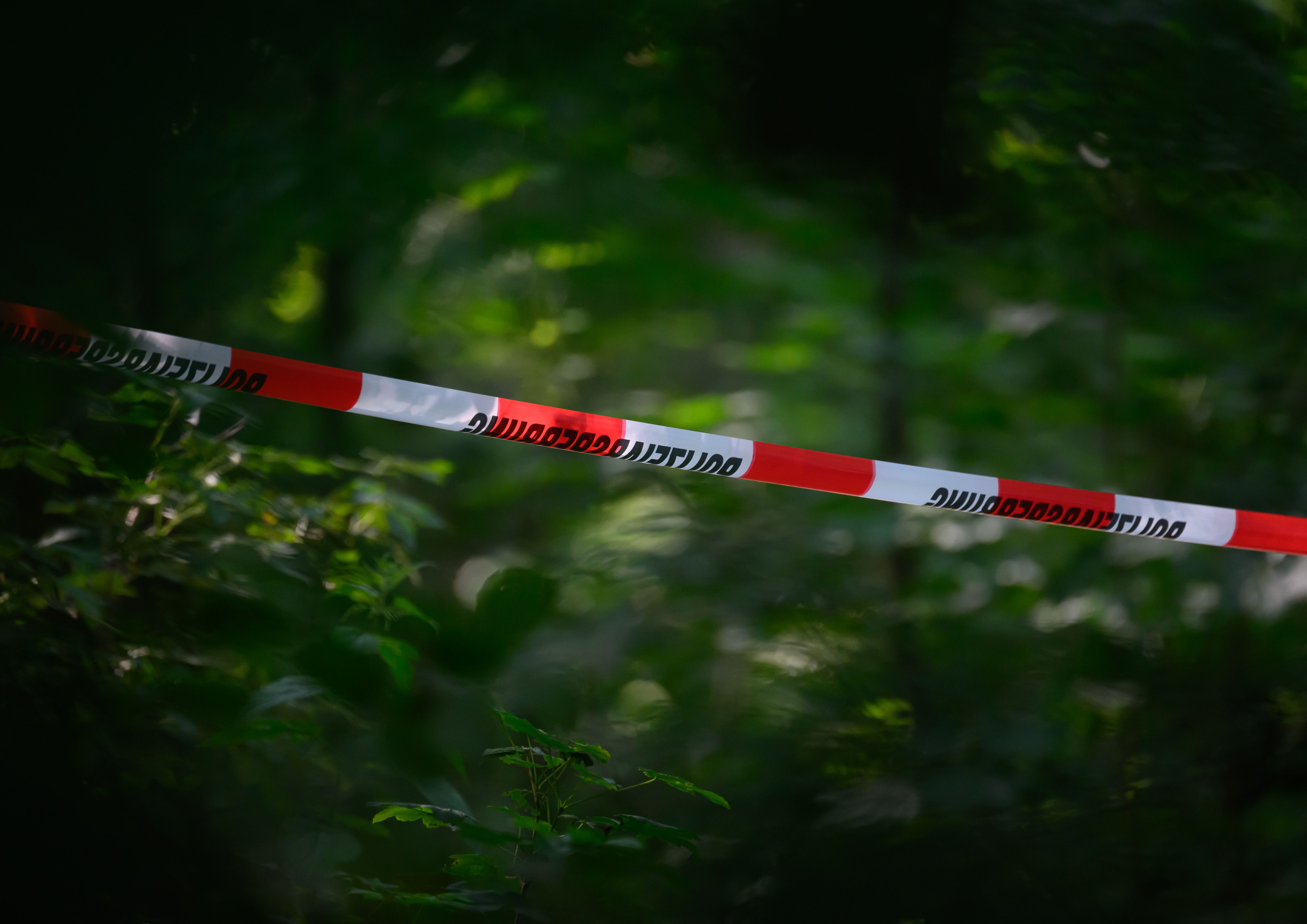 Image - Woher kommt der Schädel in der Tüte?– Grausiger Fund in Brandenburg!