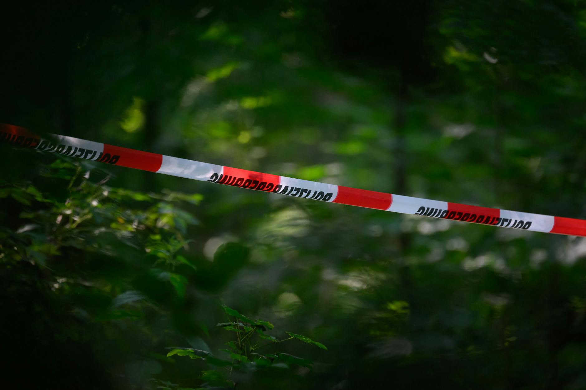 Symbolfoto: Verpackter Menschenschädel im Stichkanal entdeckt!