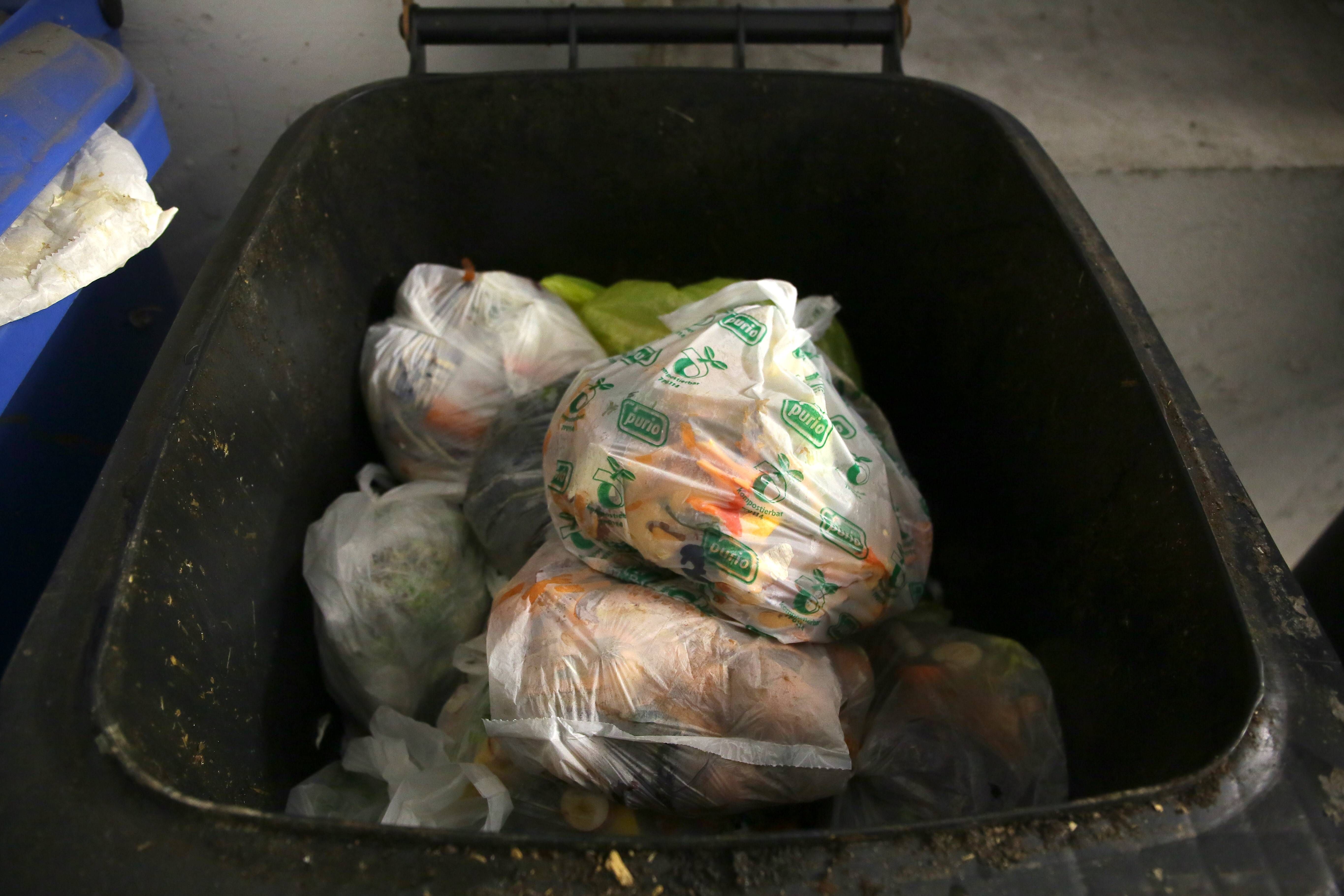 Image - Biomüll sortieren – wer schlampig ist, riskiert DIESEN Ärger!