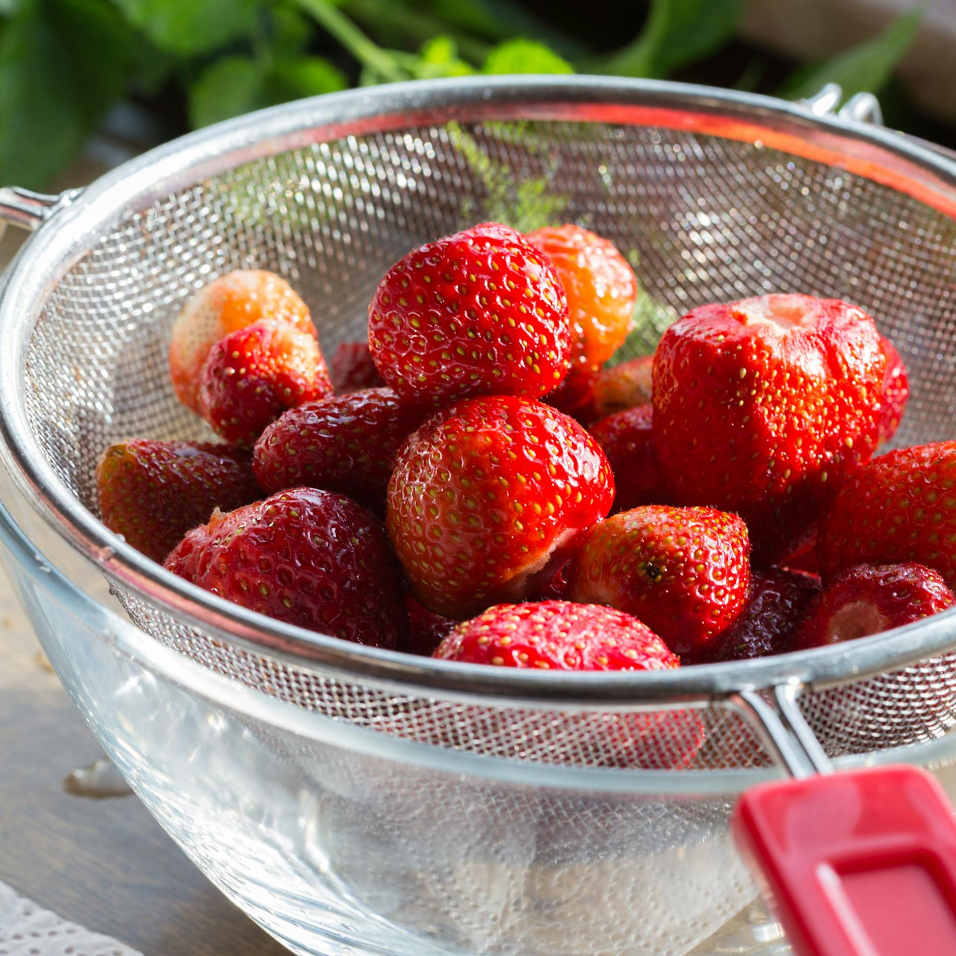 Erdbeeren richtig lagern: Papier-Trick und fünf andere Tipps