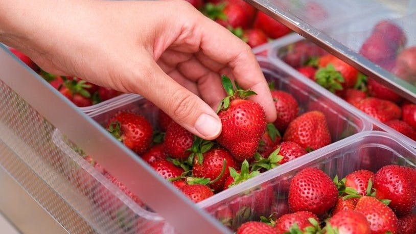 Erdbeeren lagert man am besten im Kühlschrank, allerdings besser nicht in Plastikschalen.