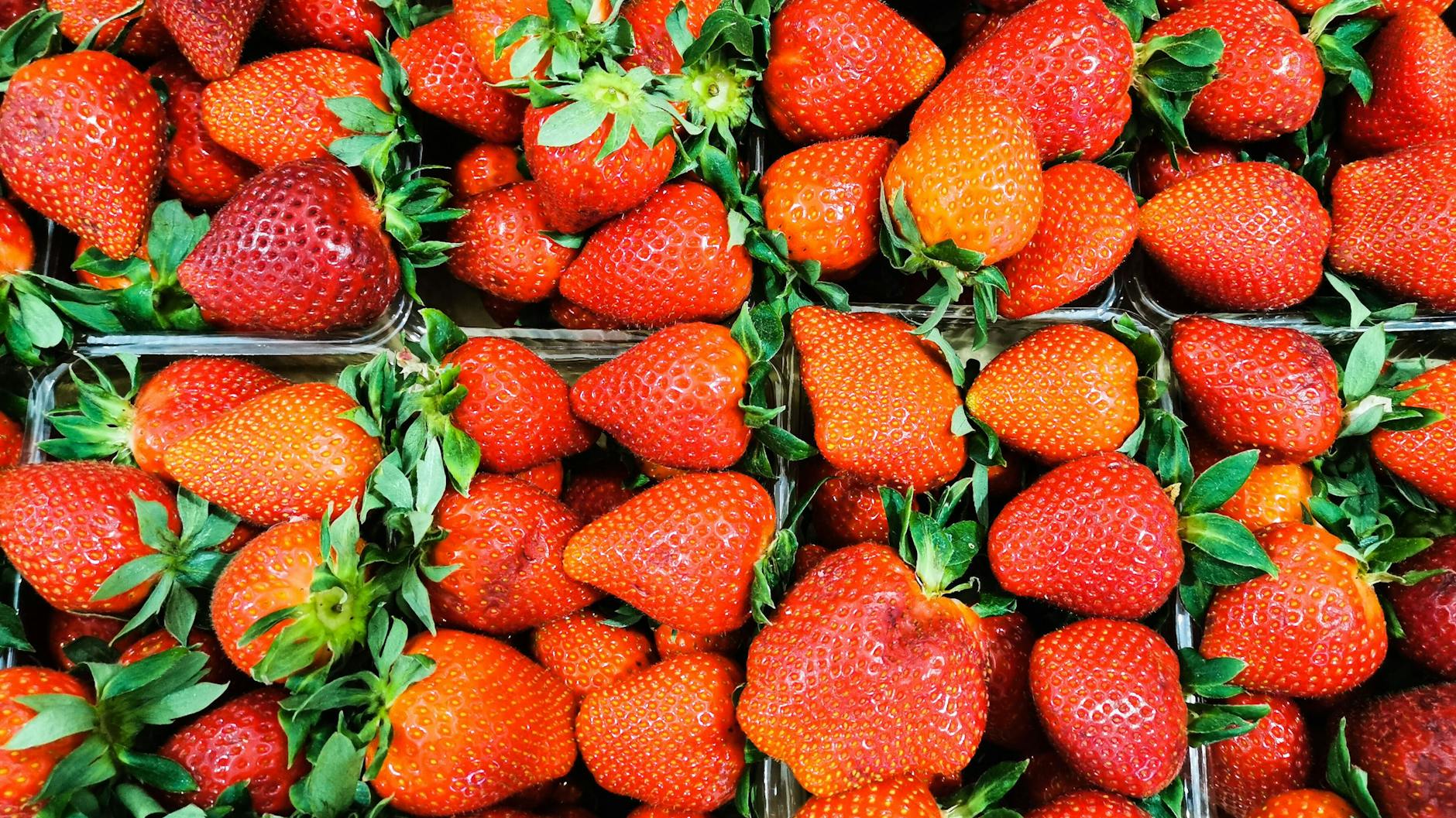Vor dem Lagern kommt der Einkauf. Erdbeeren sollte man besonders fische kaufen.