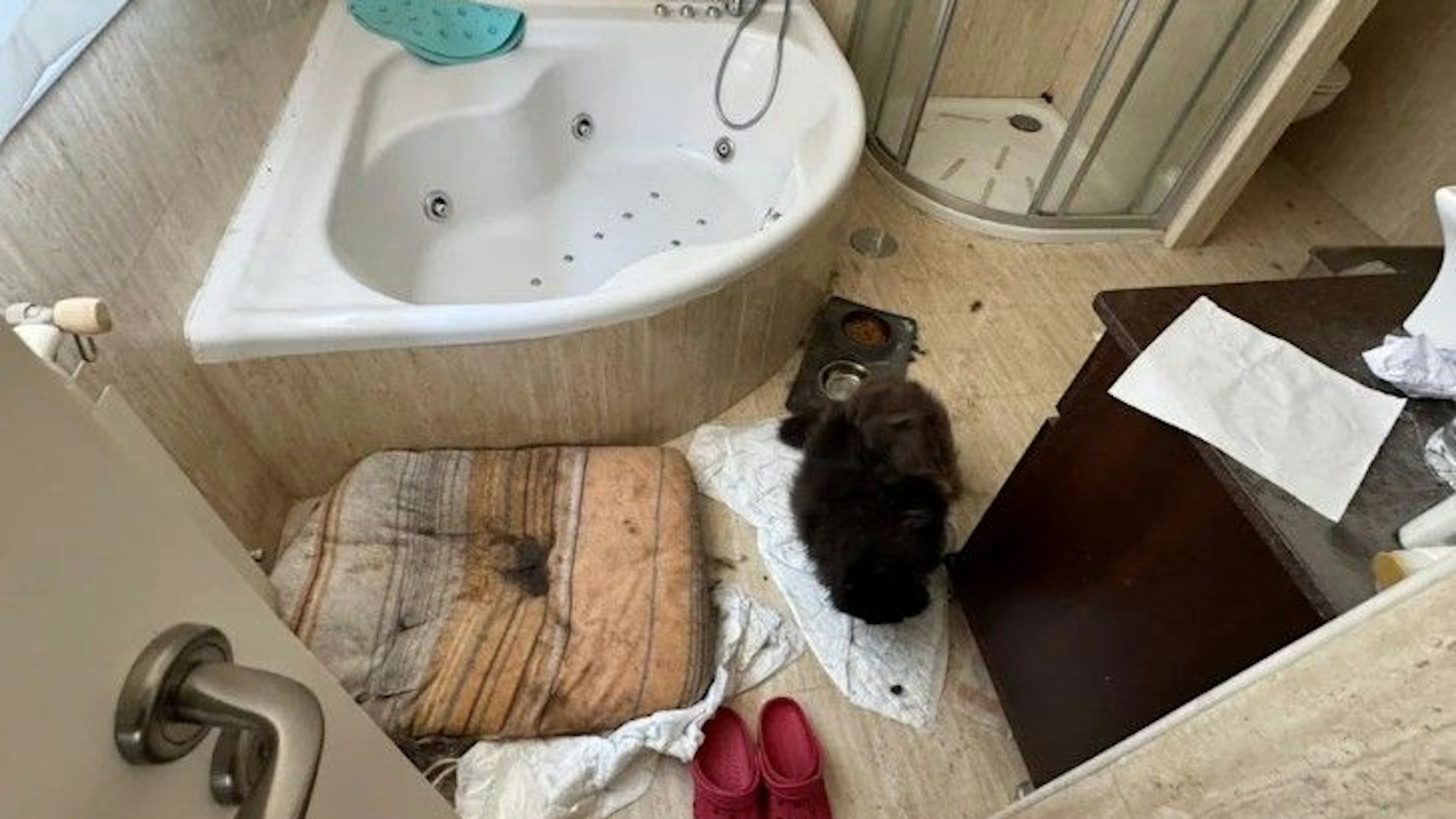 Völlig verwahrlost lebte die Familie, die ihre eigenen Kinder fast vier Jahre in einem Haus in Spanien eingesperrt hatte. 