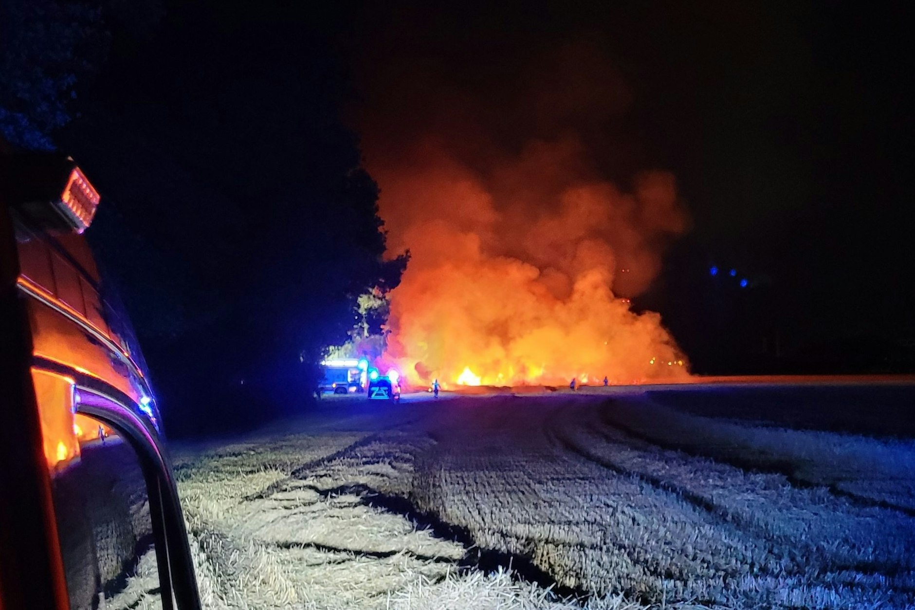 SYMBOLFOTO: Für die Feuerwehr ist ein Brand in munitionsbelasteten Wäldern eine Katastrophe – denn hier gilt: Nicht löschen, sondern laufen lassen. Alte Munition, Sprengstoffreste und brennbares Unterholz bilden eine hochexplosive Mischung, die jedes Betreten zur Lebensgefahr macht.