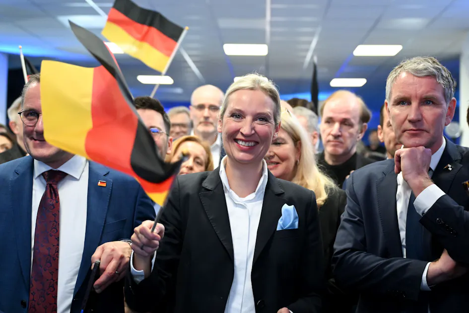Verfassungsschutz-Gutachten über AfD: Darum erinnert es an Verschwörungstheorien