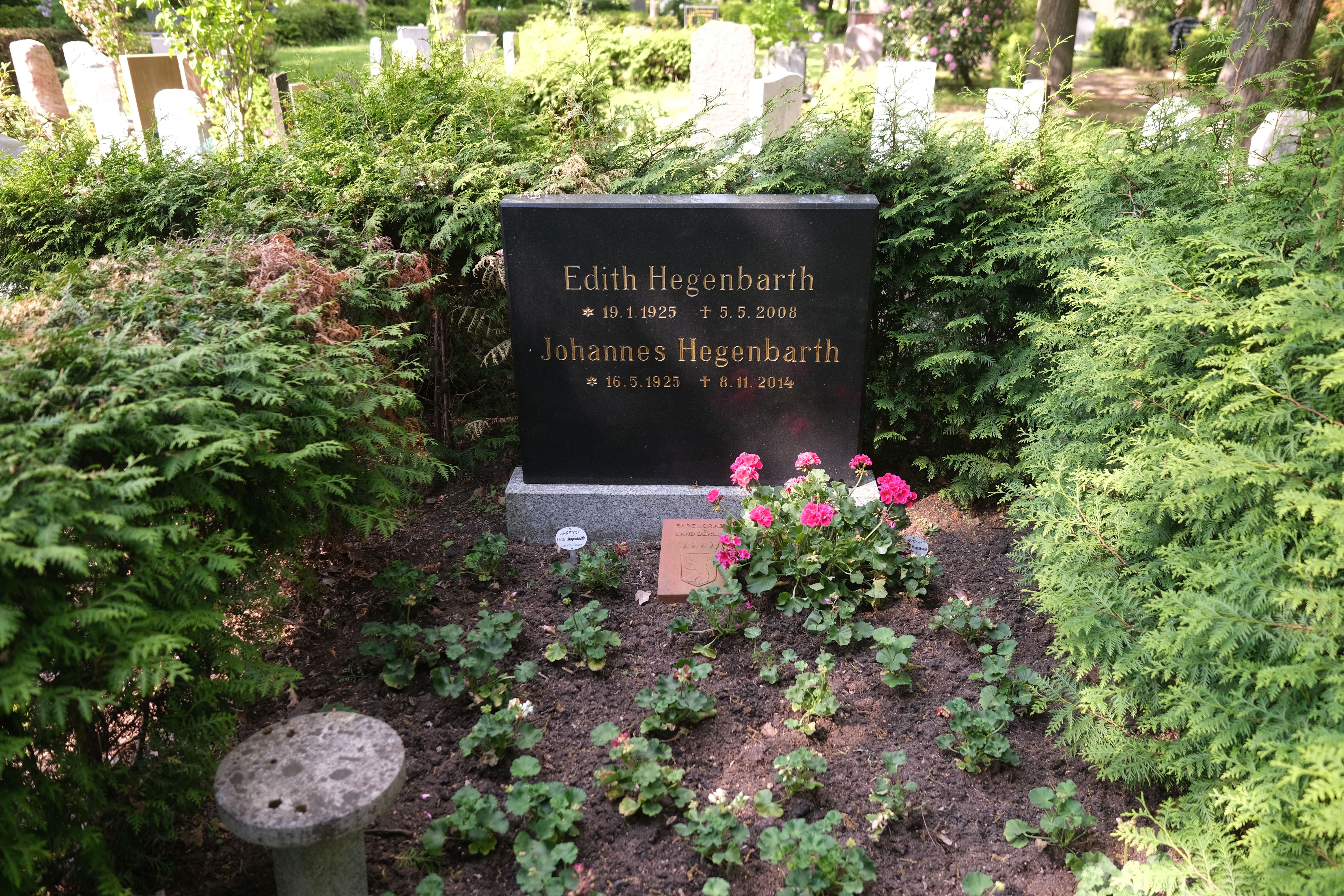 Image - DDR-Legende Hannes Hegen: Grab des „Digedags“-Erfinders heimlich bepflanzt