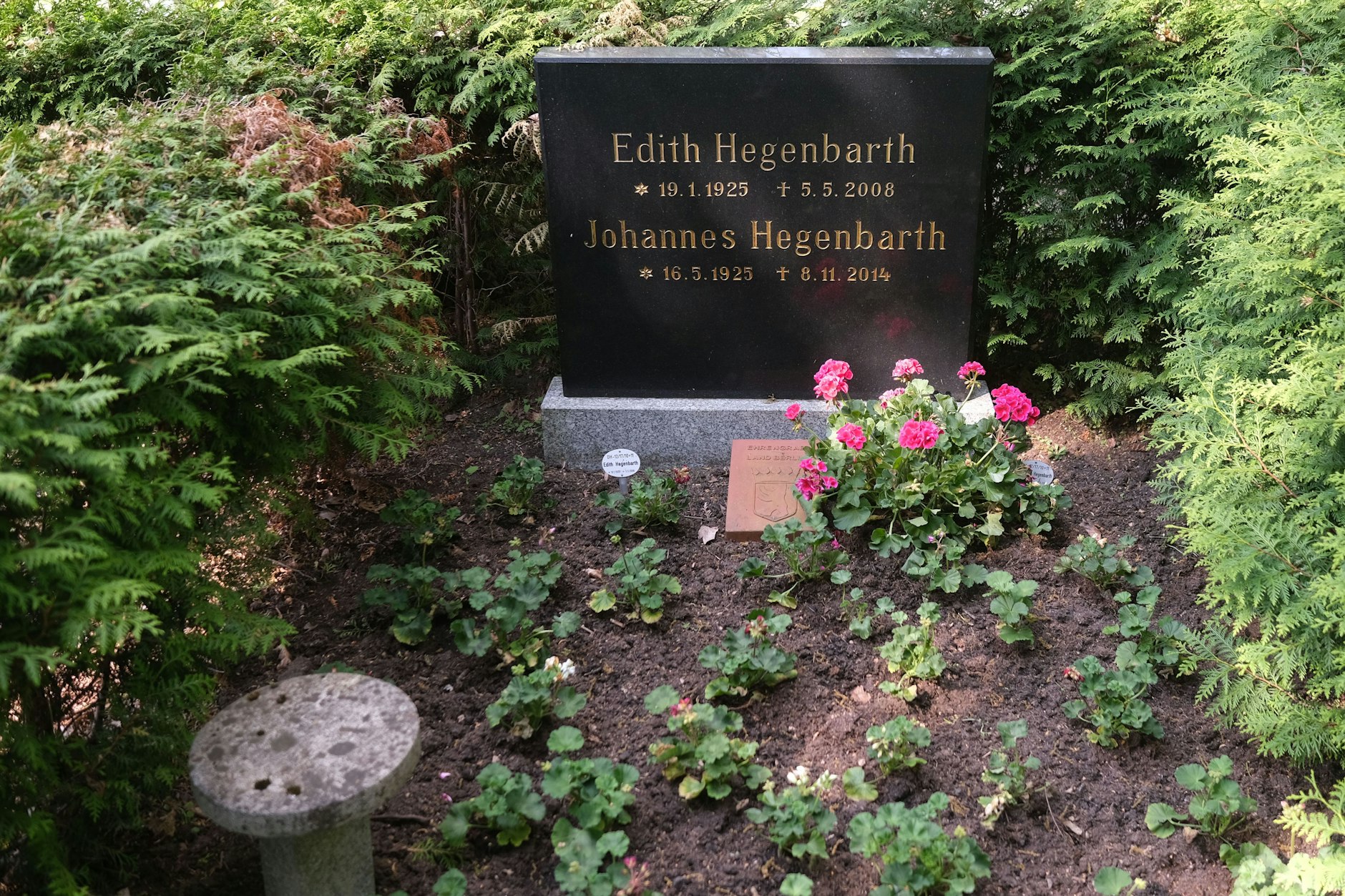 Das Ehrengrab von Johannes Hegenbarth und seiner Frau Edith: Nach einem KURIER-Bericht über den Zustand der Ruhestätte ist diese plötzlich bepflanzt worden.