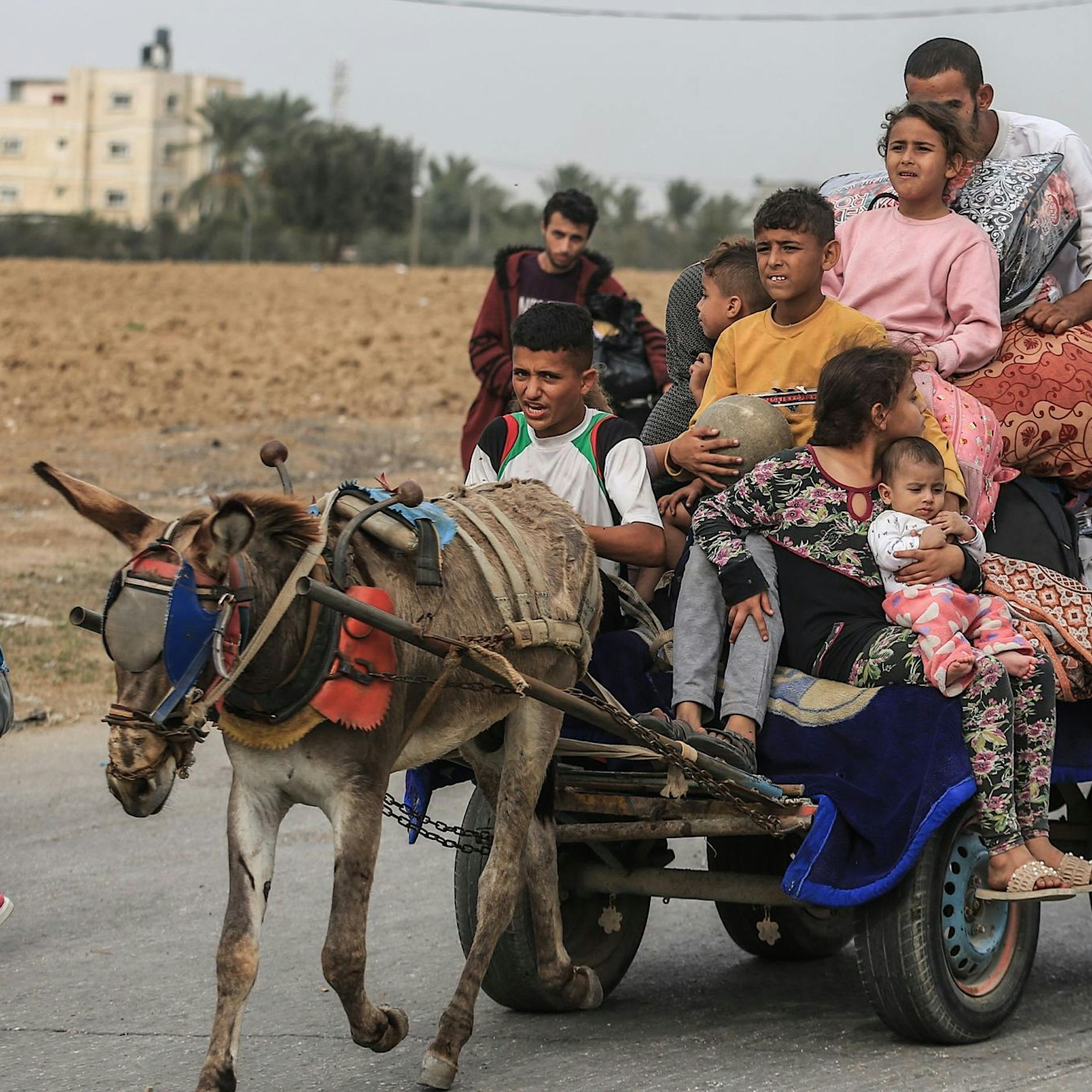 Gaza-Krieg: Israel kündigt Besatzung an und plant Umsiedlung der meisten Bewohner