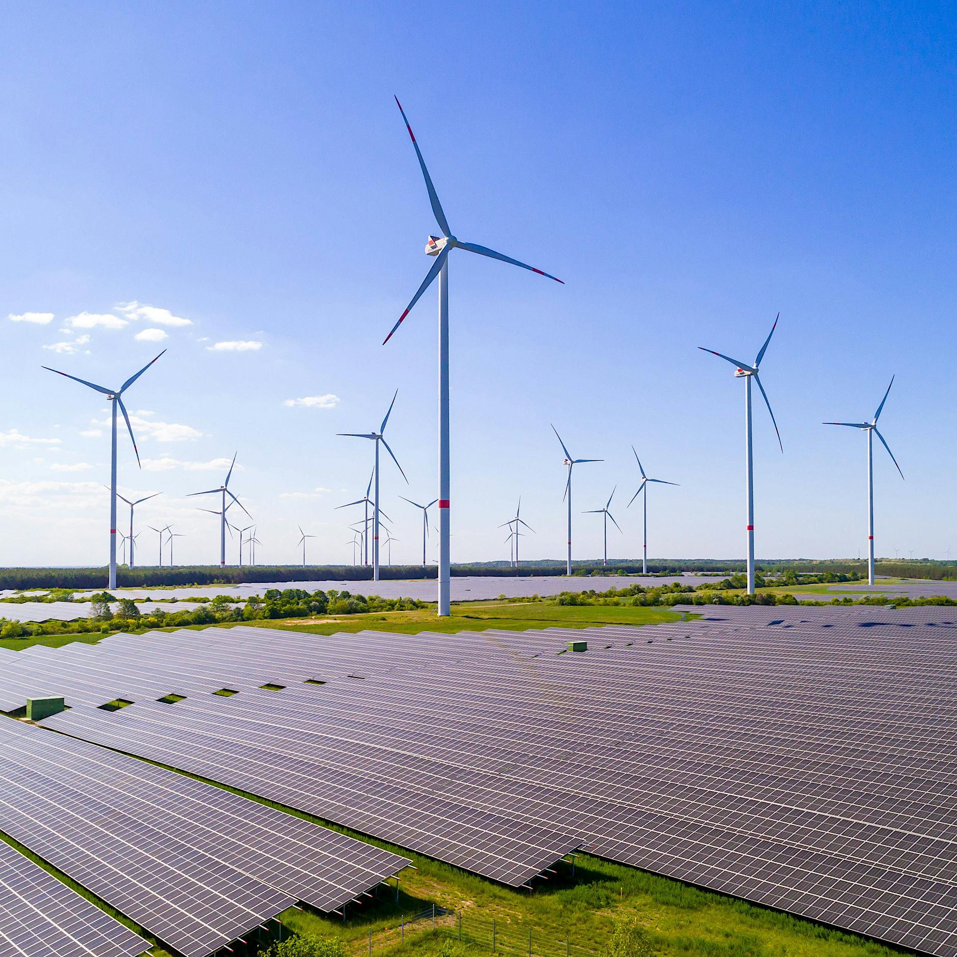 Zittern vor der Hellbrise: Zu viel Sonnen- und Windenergie gefährdet das Stromnetz