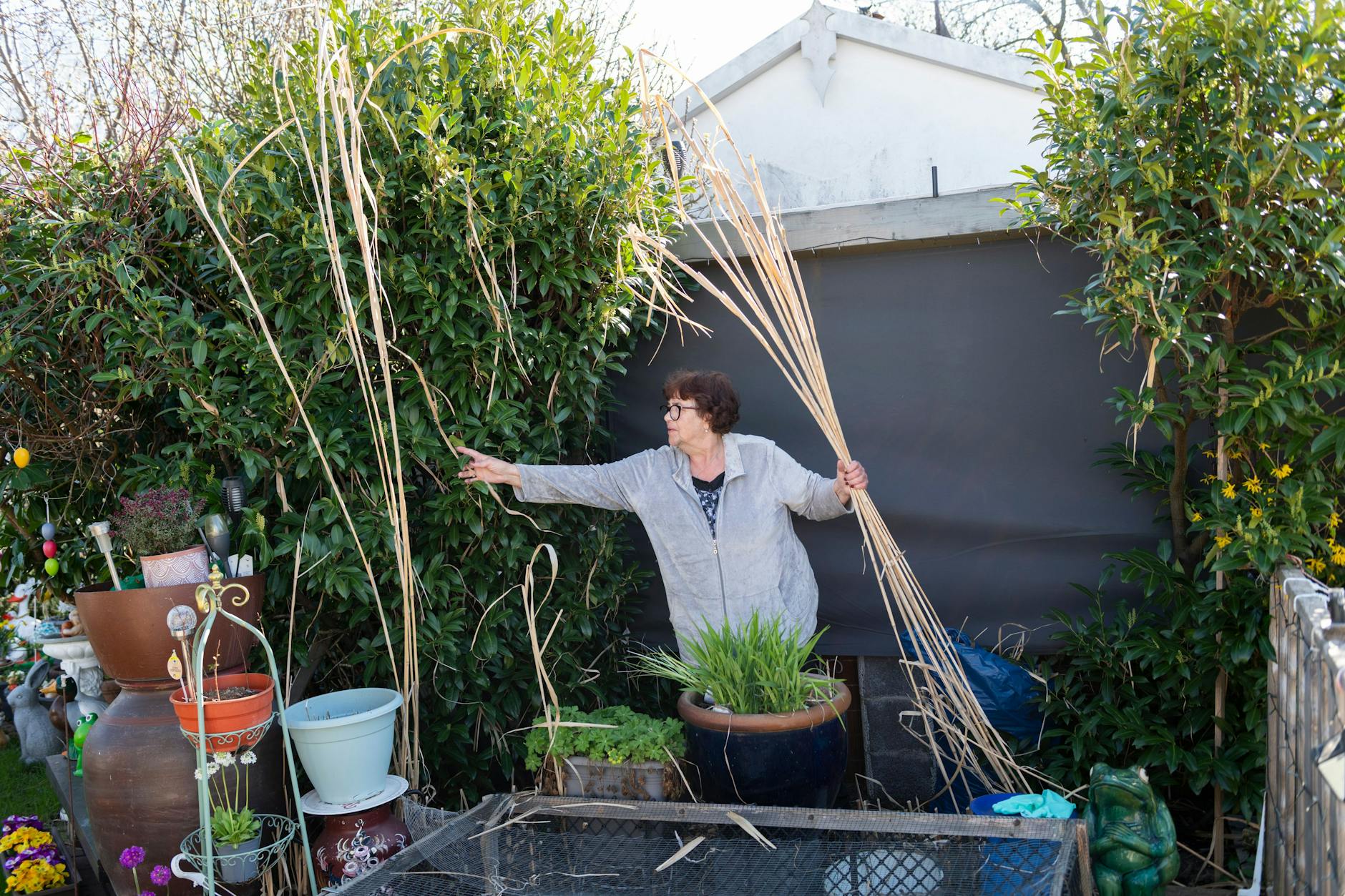Sabine Römer beim Entfernen von Schilf in der Kolonie Rosstrappe in Charlottenburg. Hinter dem Häuschen hat sie einen kleinen Pool.