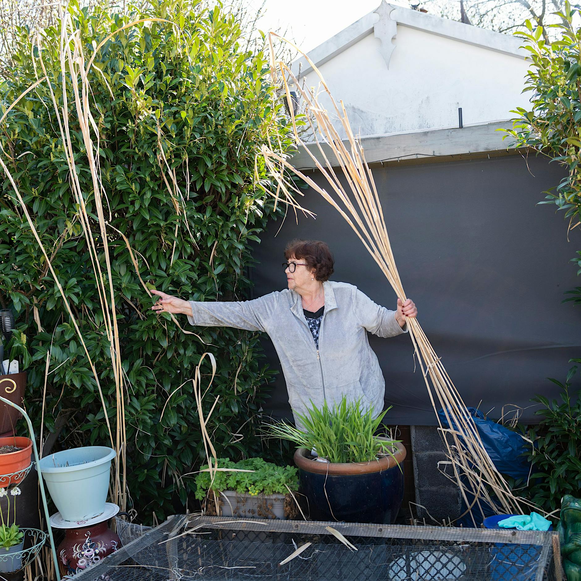 Traumhaus mit Garten für 100 Euro im Jahr: Die übergroßen Lauben in Berlins Kleingärten