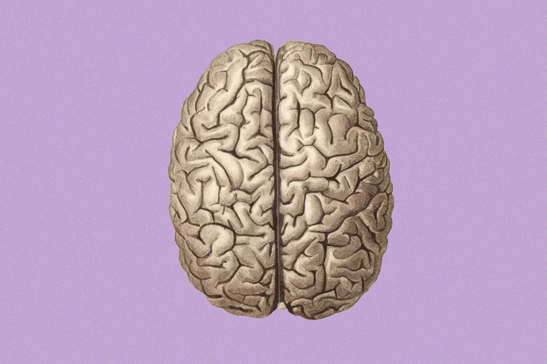 Bei einem Schlaganfall fallen wichtige Hirnfunktionen aus. Ursache sind entweder eine Hirnblutung oder Durchblutungsstörungen.