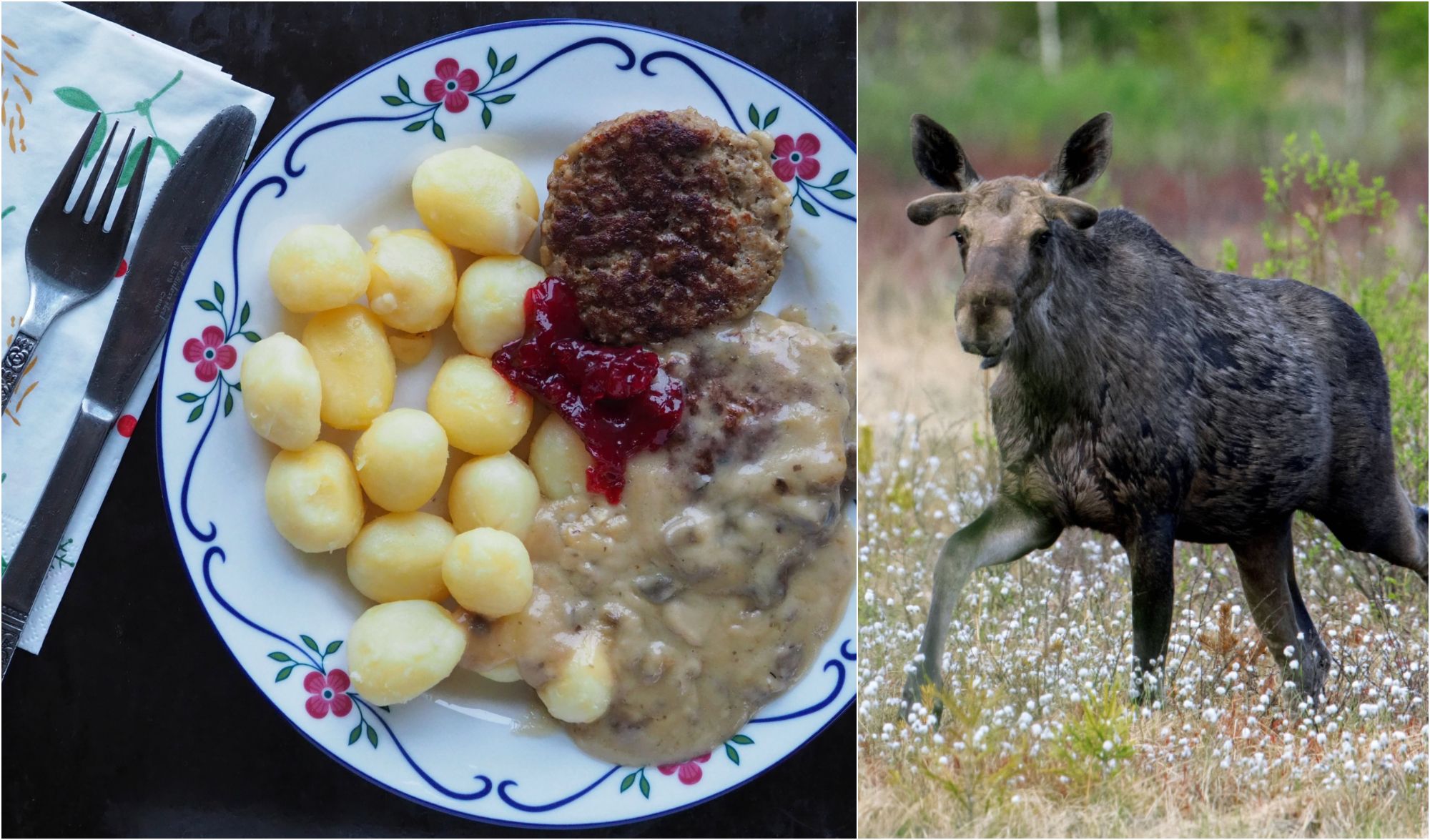 Image - Uriges Rezept aus Schweden: Elch-Bouletten mit Kartoffeln!