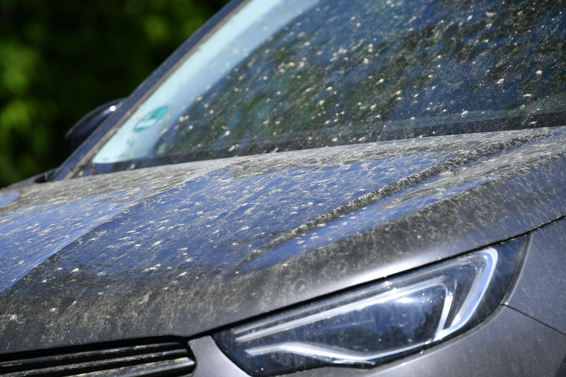 Ein Auto verdreckt und verklebt mit Blütenstaub und Honigtau. Wo bleibt der Regen, wenn man ihn braucht ...