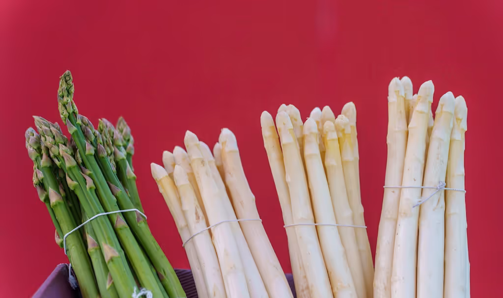 Aktuelle Umfrage: So beliebt ist Spargel wirklich