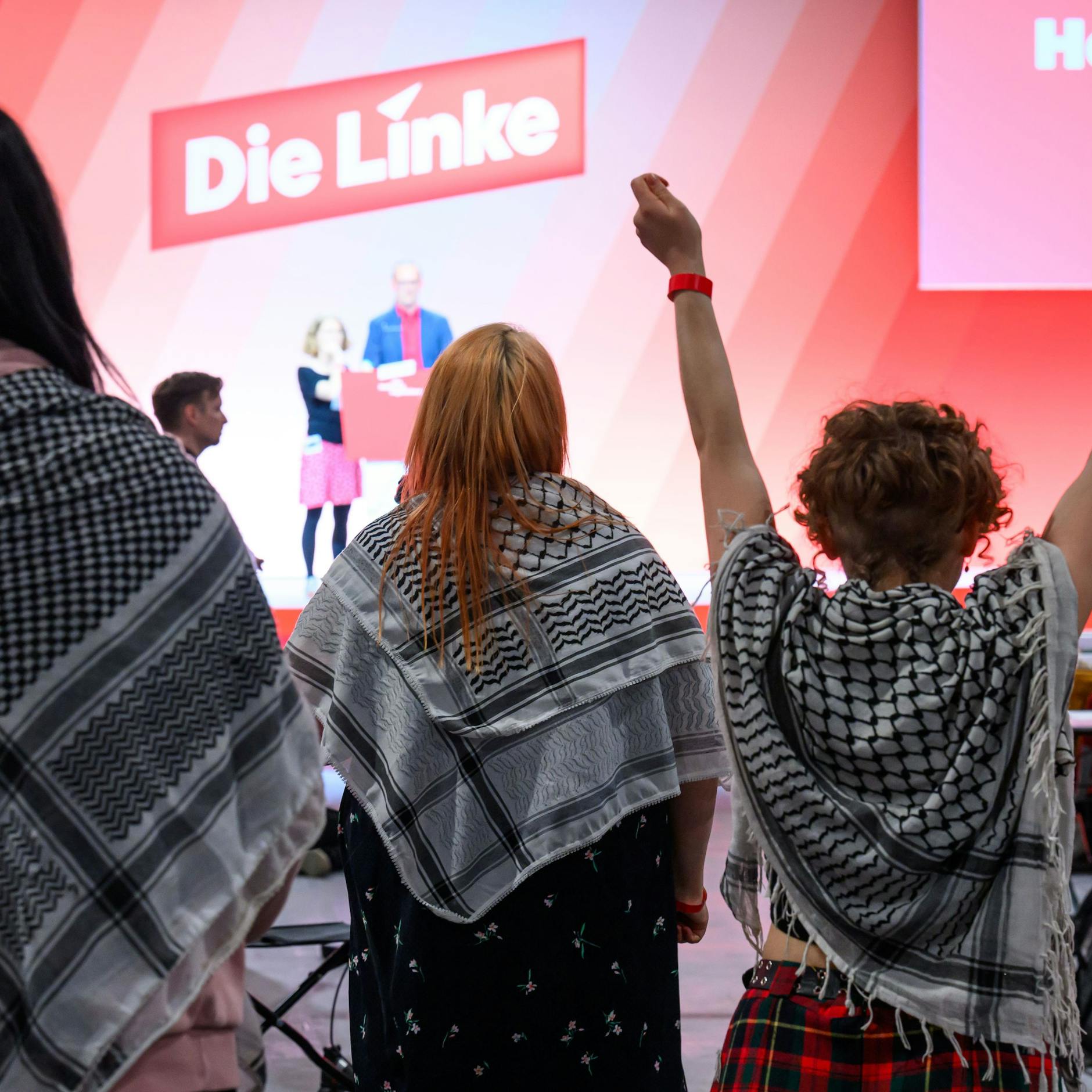 Image - Beschluss zu Antisemitismus auf Linke-Parteitag: Zentralrat der Juden wirft Israelhass vor