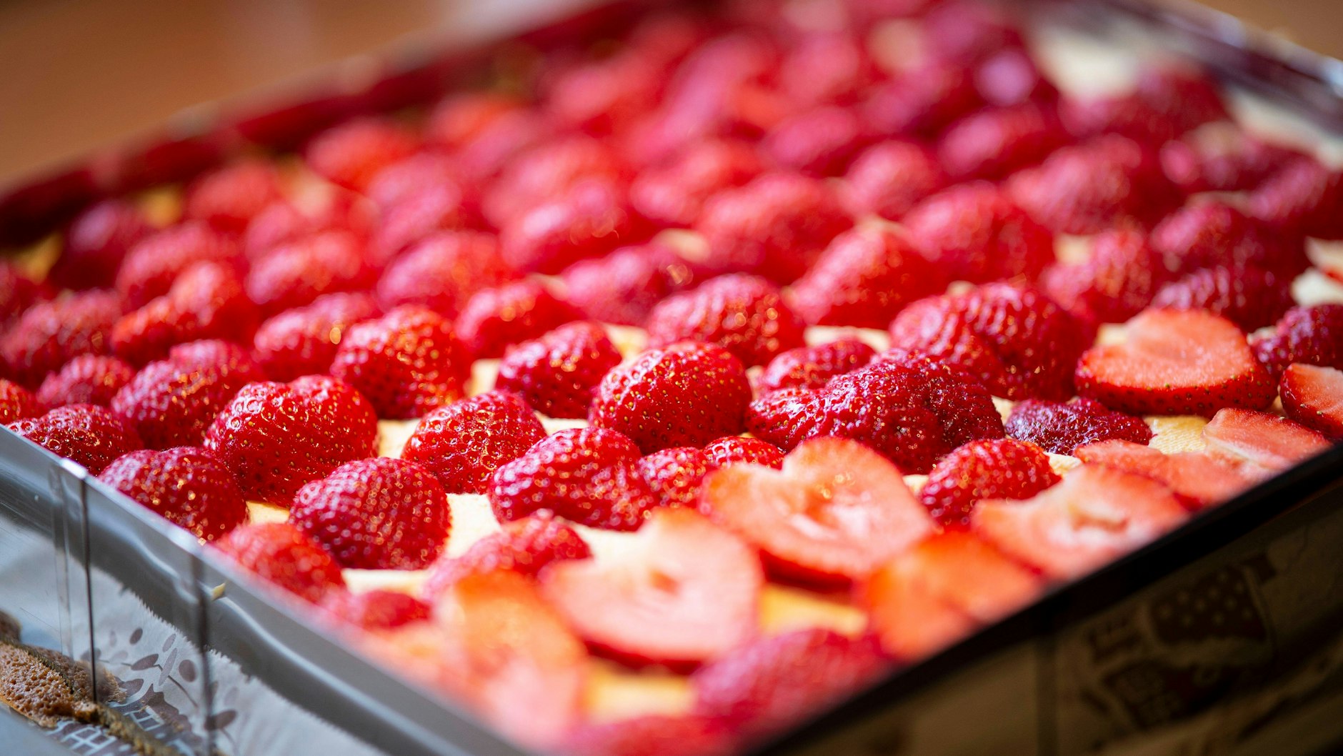 Der Boden wird zuerst mit Pudding eingestrichen, dann mit den Erdbeeren belegt: Es ist gar nicht so schwer, dieses herrliche Rezept für Erdbeer-Pudding-Schnitten zu backen!