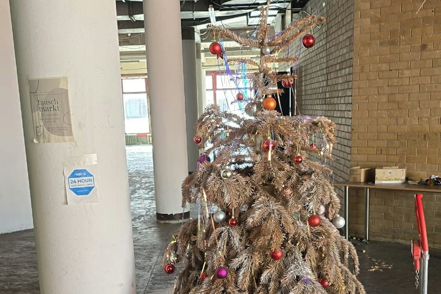 Kaum zu glauben: Wir haben Mai und im SEZ steht noch ein Weihnachtsbaum! Warum dieses Mülltanne noch keiner beseitigte, ist unklar.