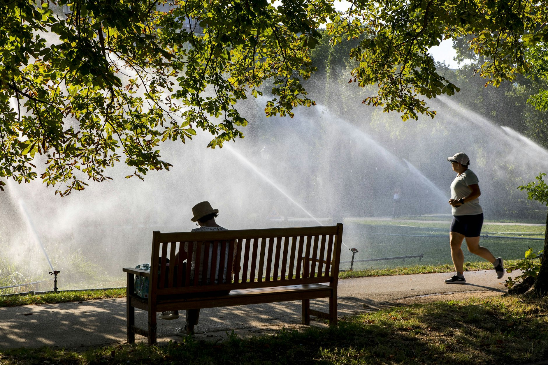 In privaten und öffentlichen Gärten und Parks werden Rasenflächen im Sommer gern bewässert. Doch in Hannover ist das auch in diesem Jahr am Tag verboten.