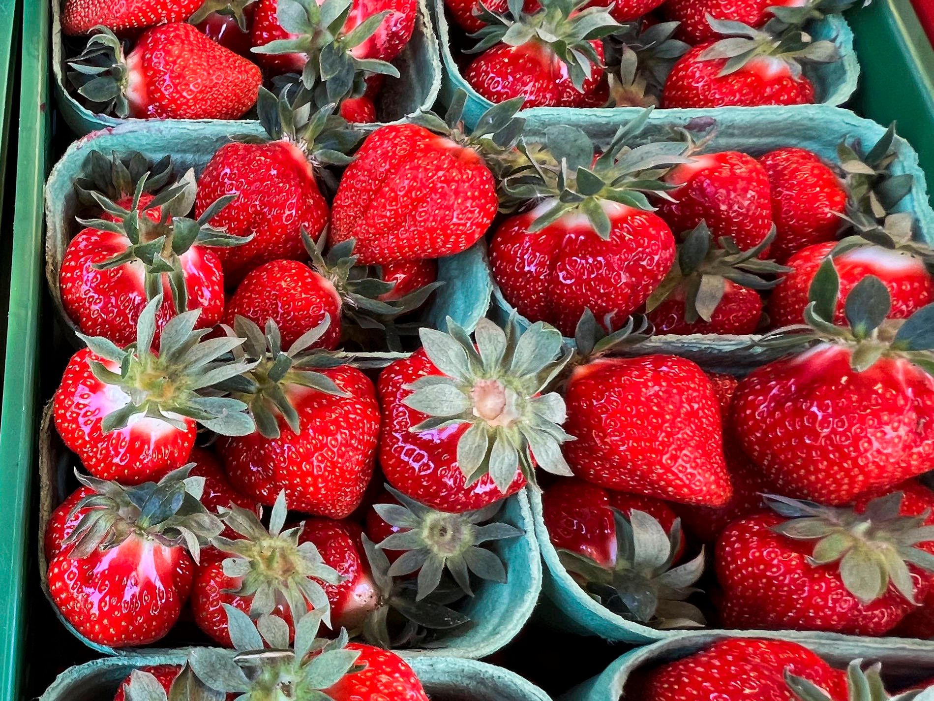 Erdbeeren richtig lagern: So bleiben die süßen Früchte länger frisch!